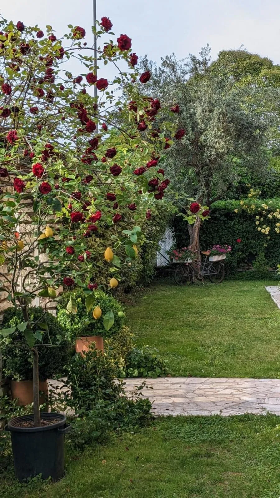 Bed & Breakfast Agli Aceri