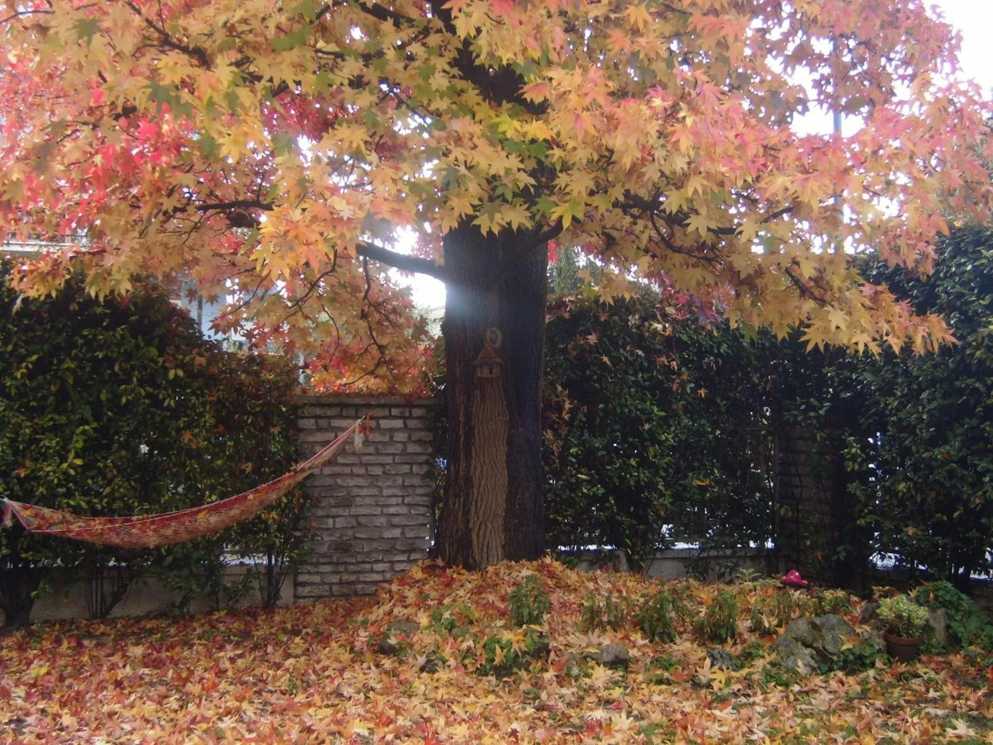 Garden in Bed & Breakfast Agli Aceri