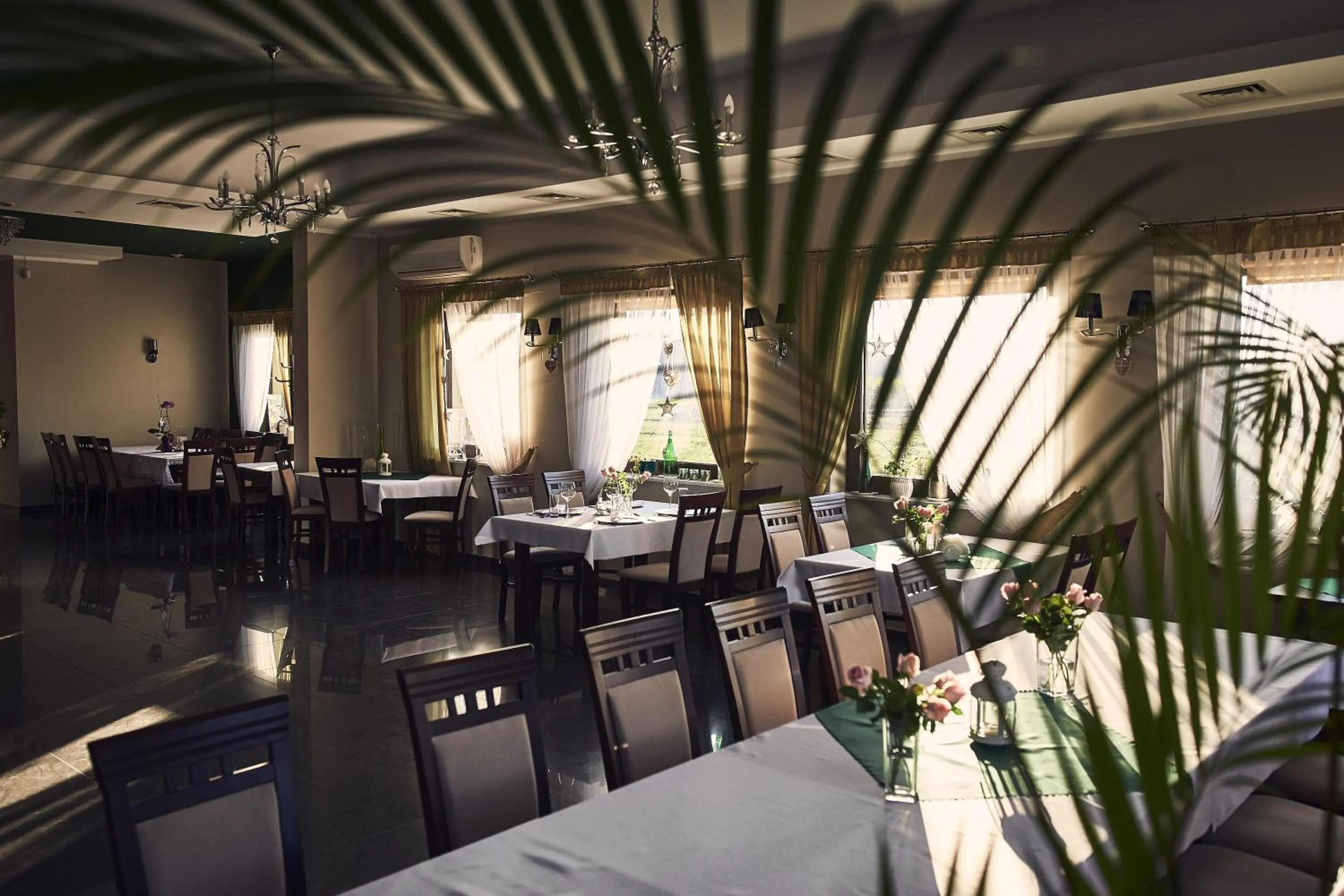 Restaurant/places to eat in Hotel AB