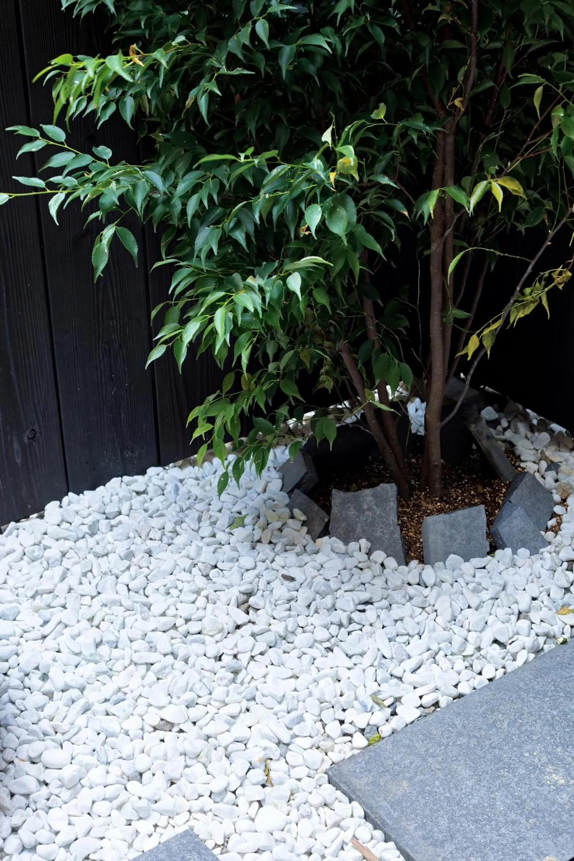 Garden in Tsumugi Shichijo-Kagiyacho