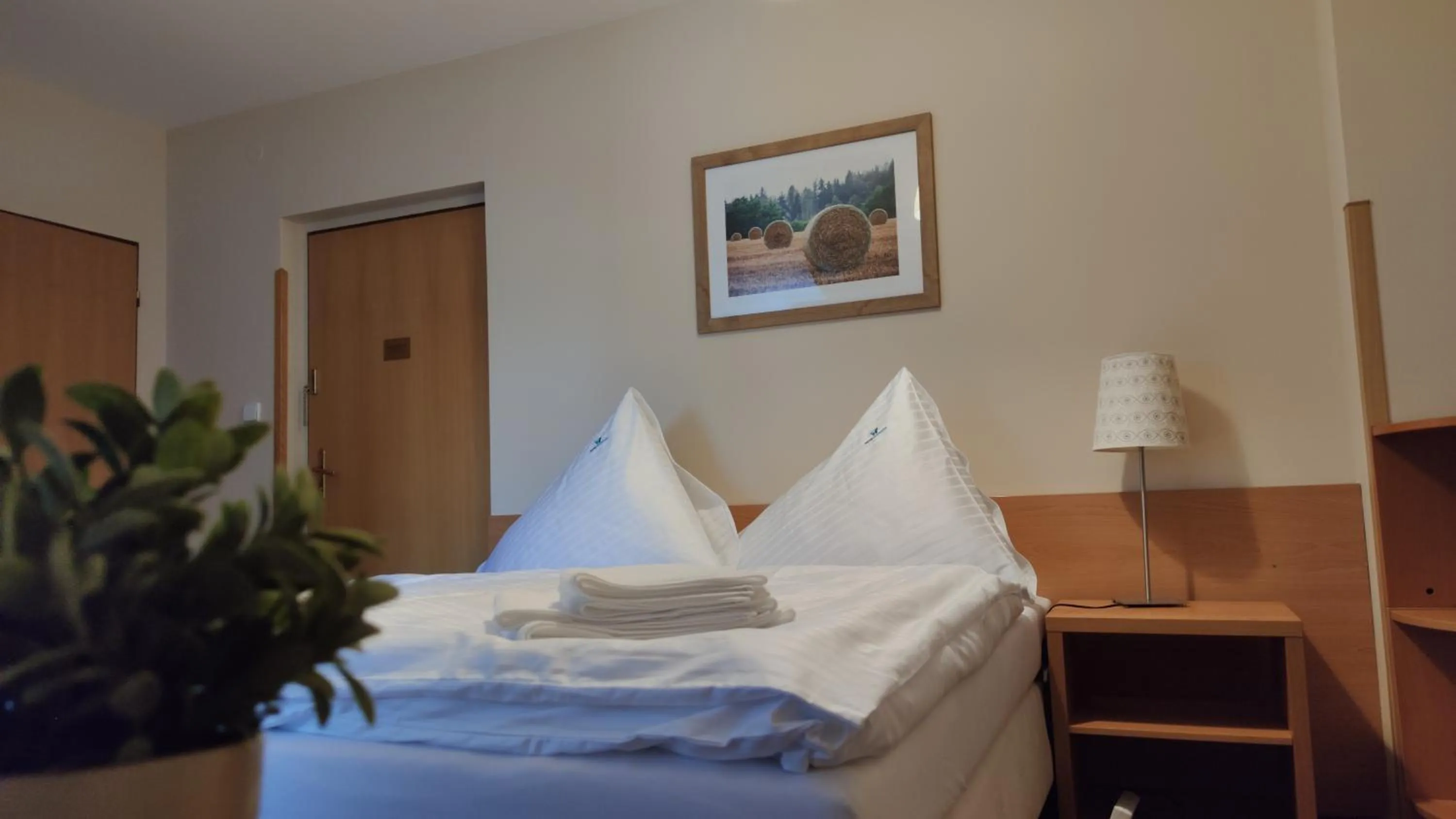 Bed in Hotel Modrásek