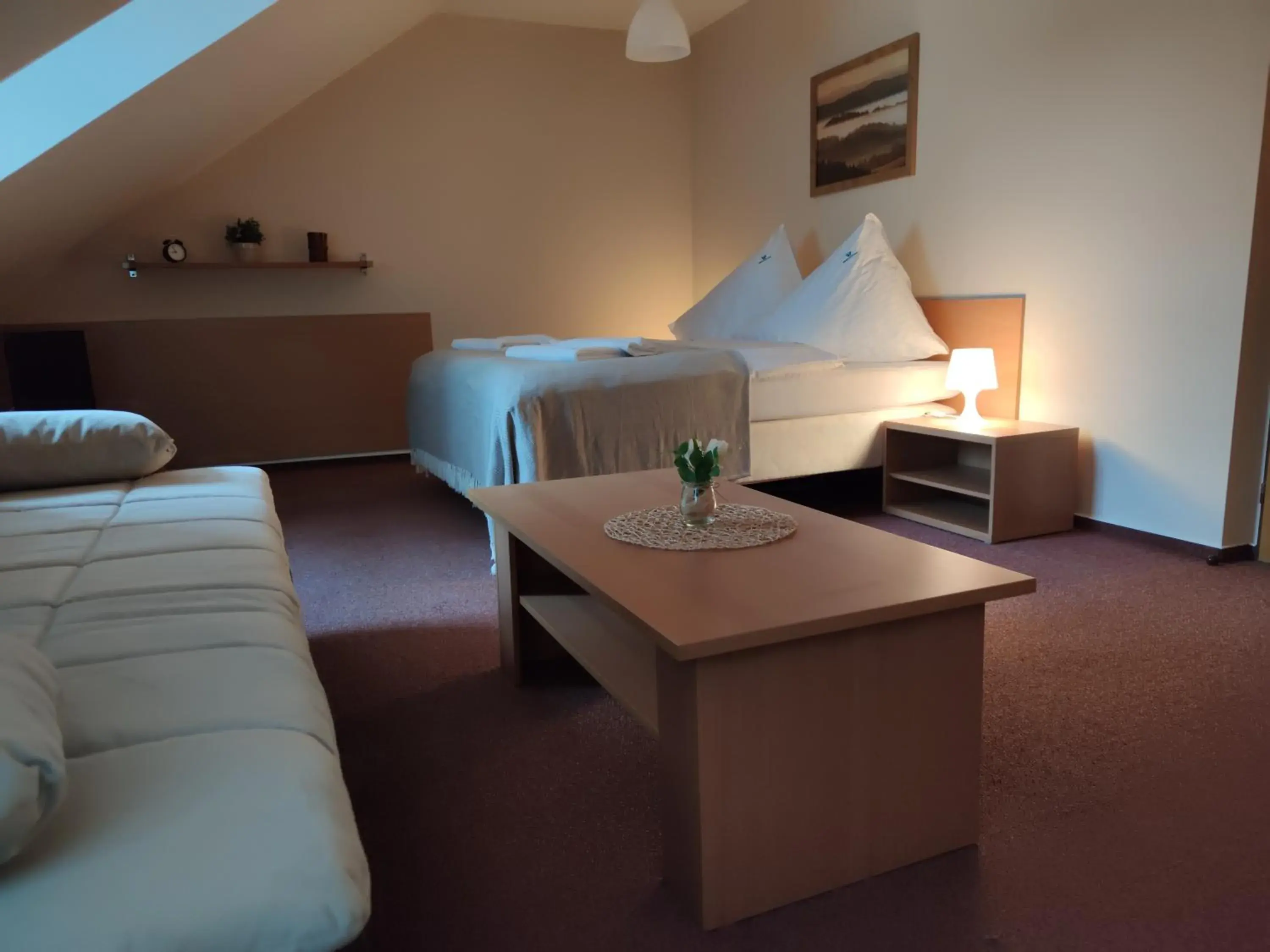 Double or Twin Room in Hotel Modrásek Double or Twin Room in Hotel Modrásek