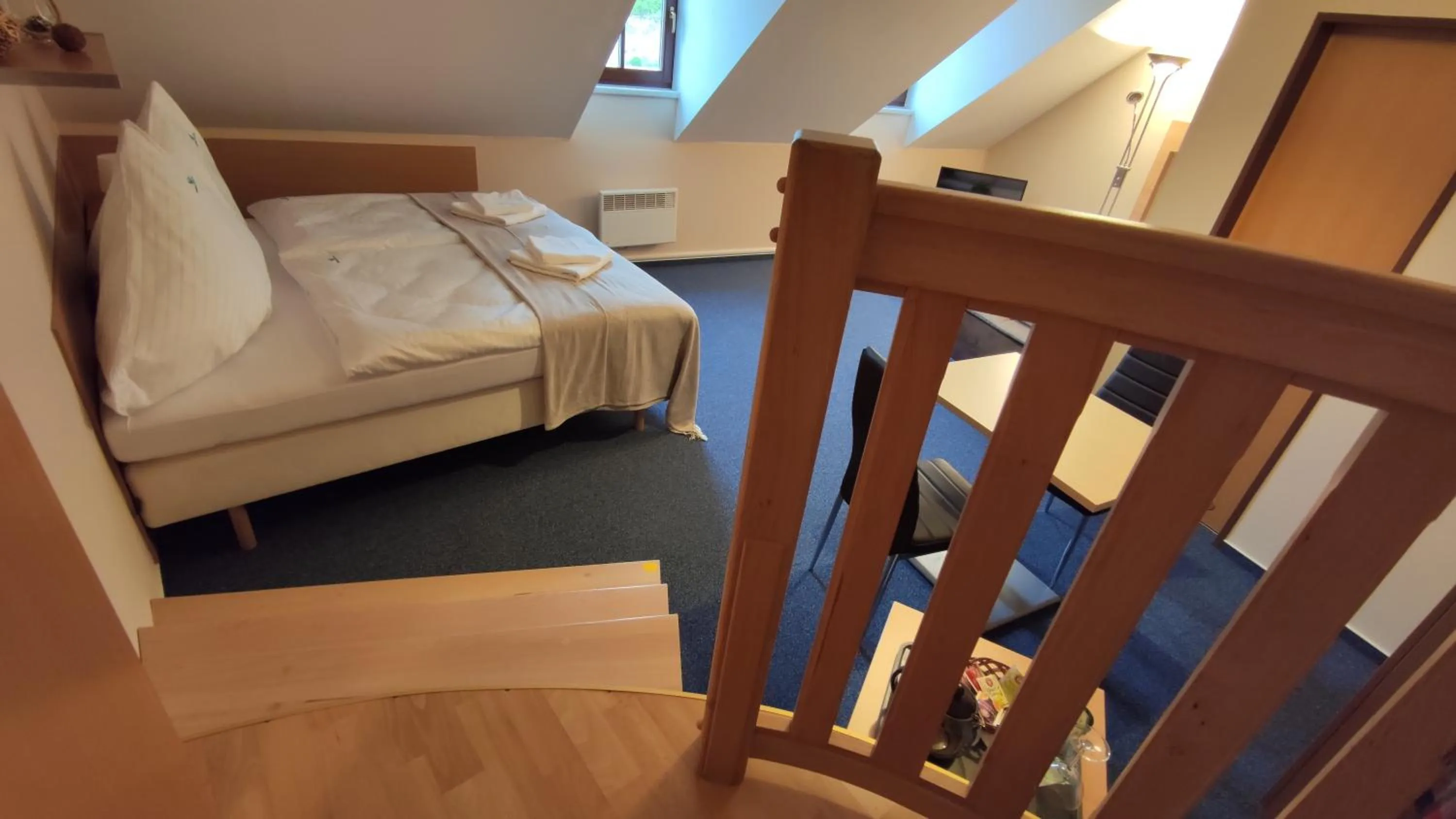 Bed in Hotel Modrásek