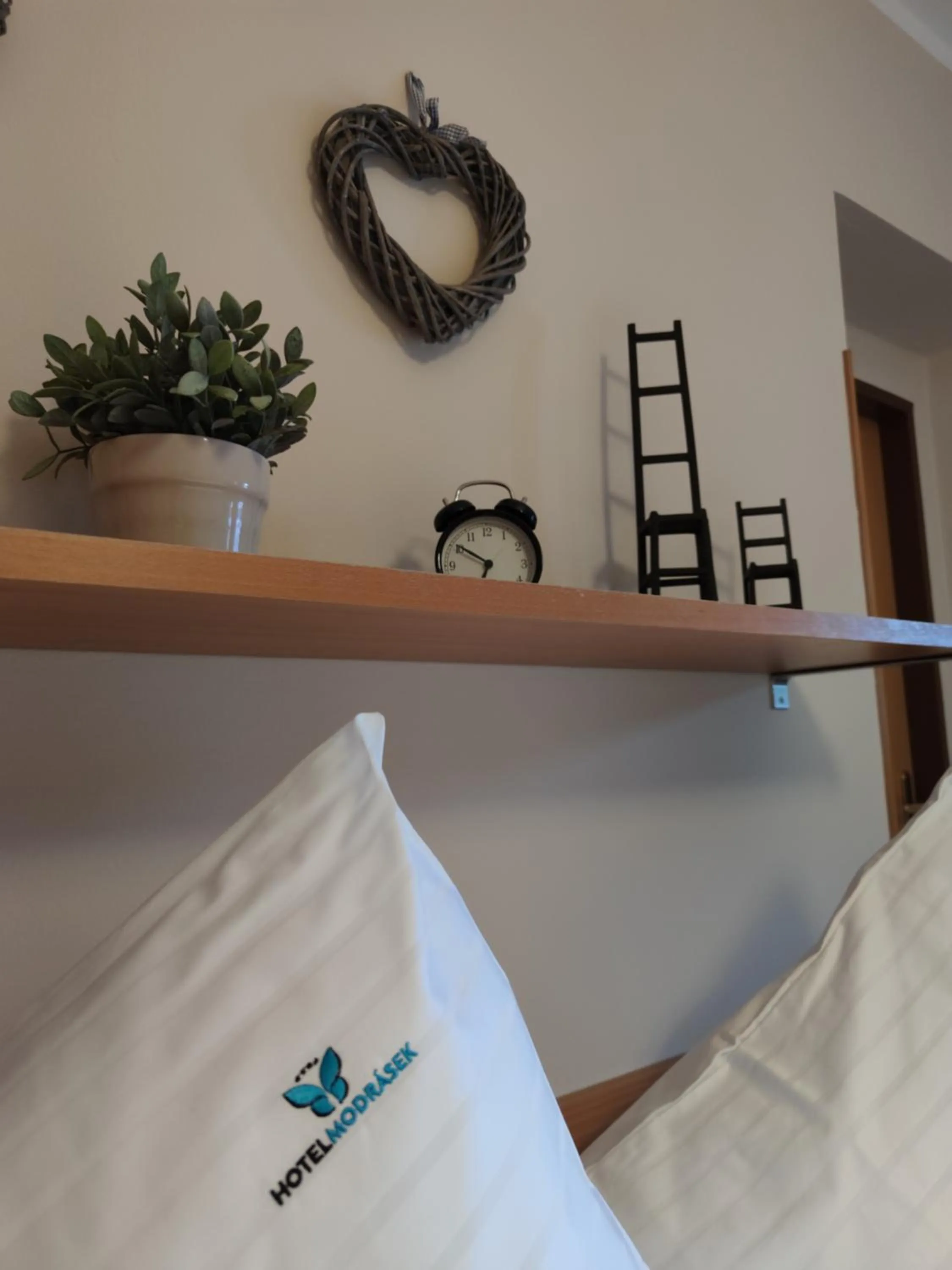 Bed in Hotel Modrásek