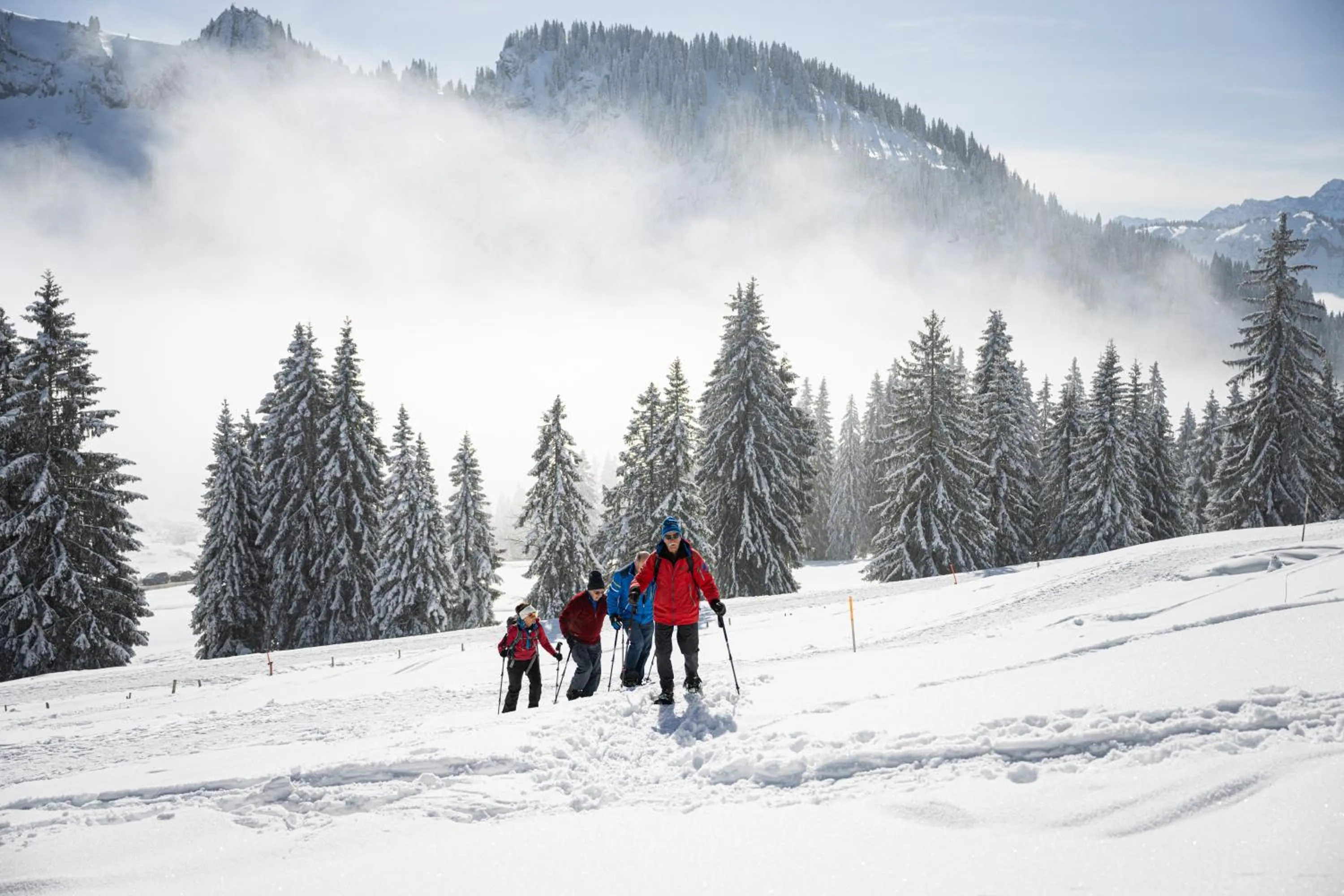 Hiking in Hotel Filser