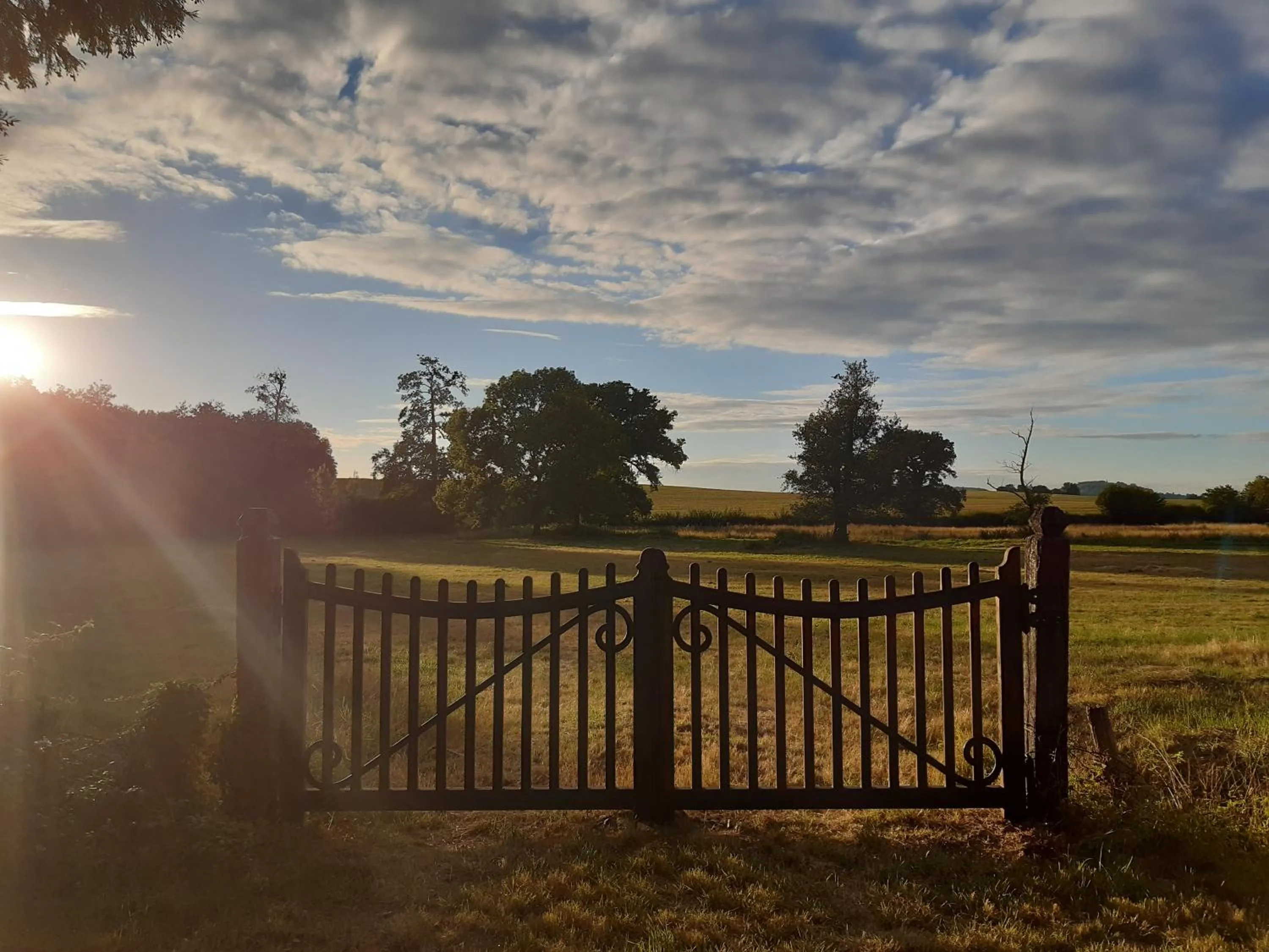 Natural landscape in Château de Mongazon