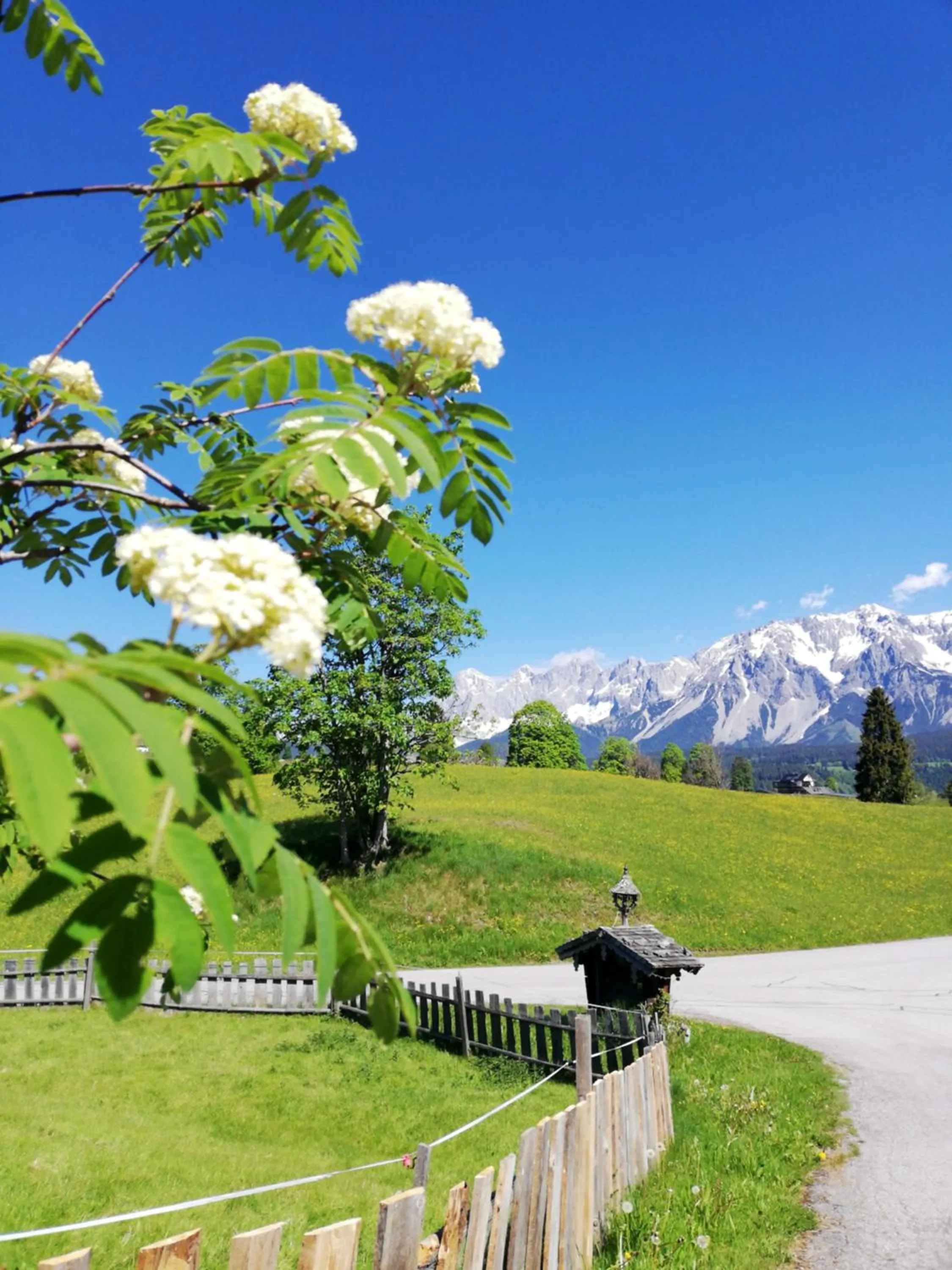 Pension Stammerhof