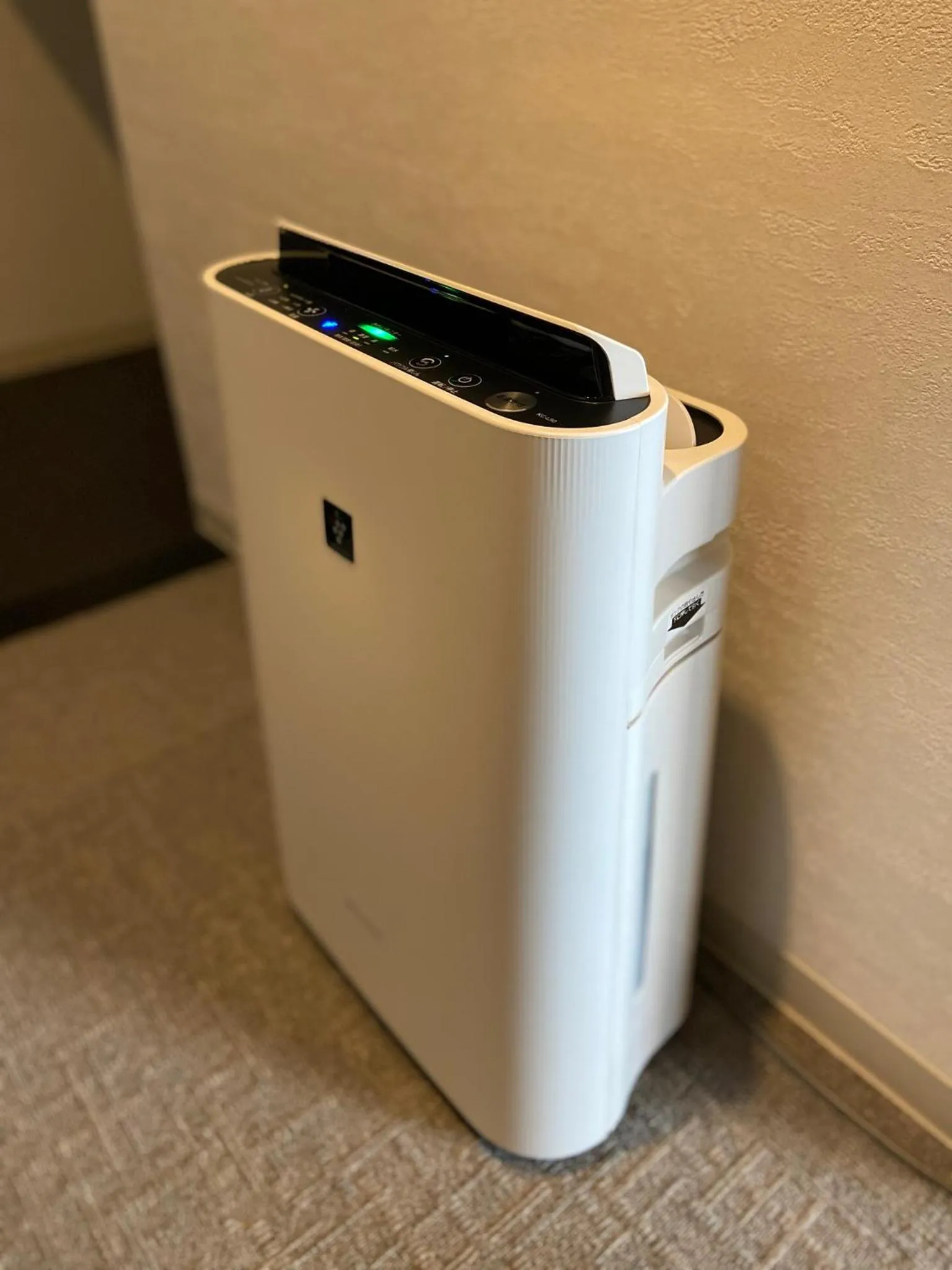 Decorative detail in Randor Residential Hotel Fukuoka Classic