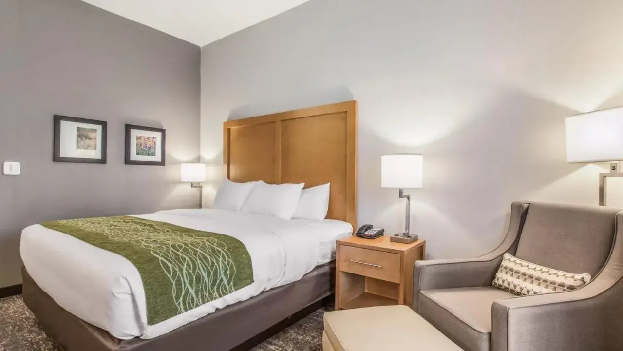 Photo of the whole room, Bed in Comfort Inn Photo of the whole room, Bed in Comfort Inn