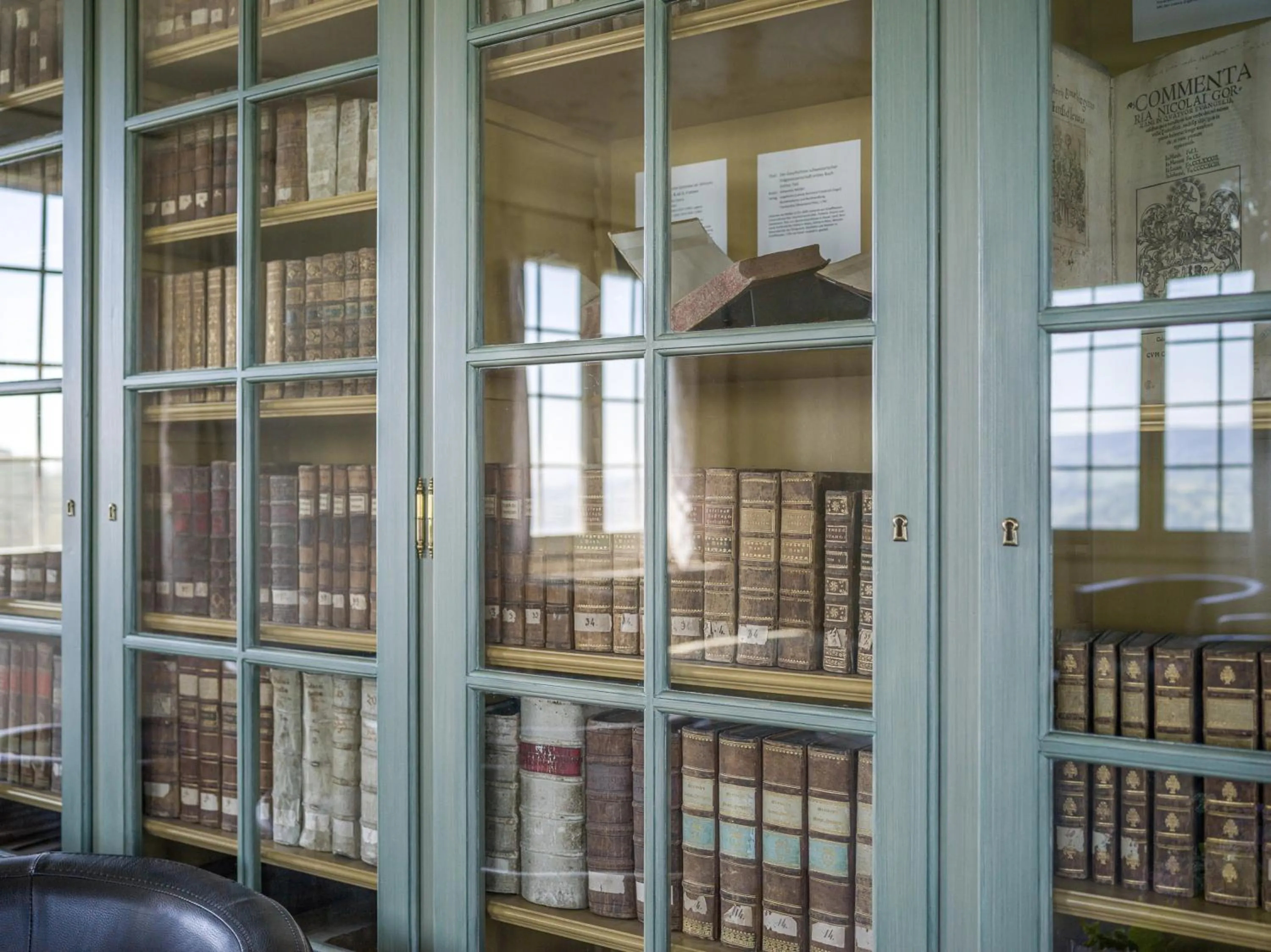 Library in Schloss Freudenfels