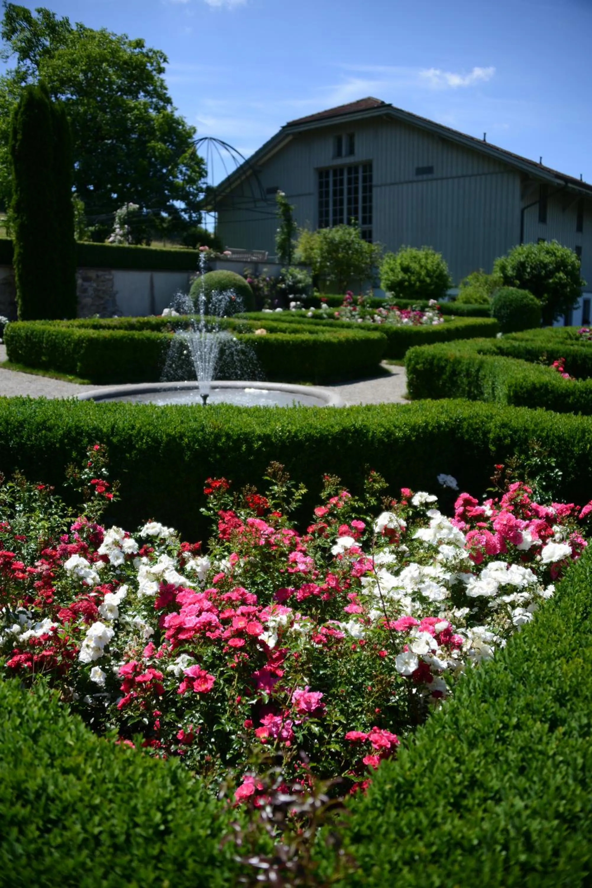 Property building in Schloss Freudenfels