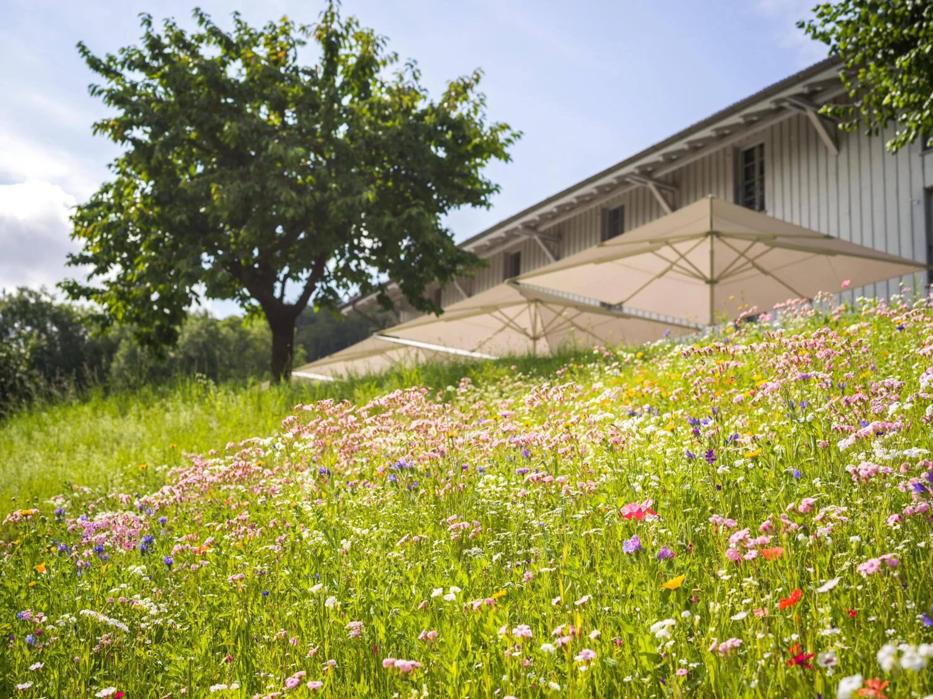 Property building in Schloss Freudenfels