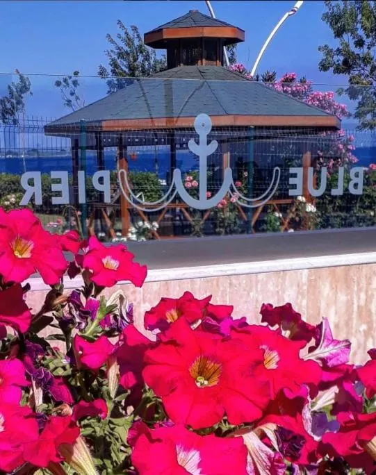 Garden in Blue Pier Hotel