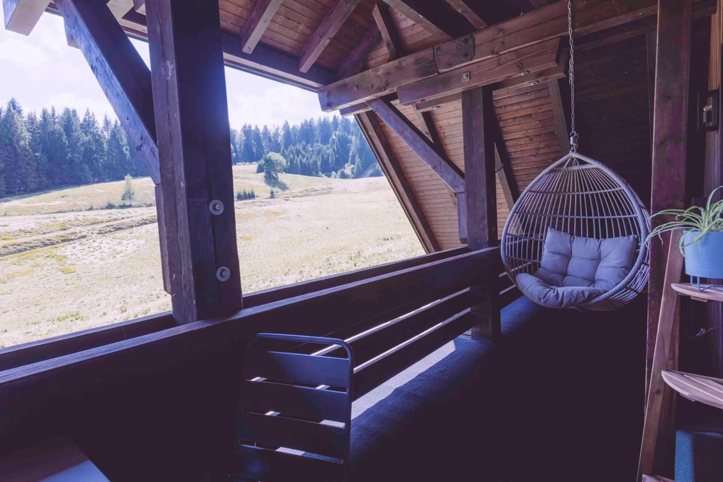 Balcony/Terrace in EDELFUCHS-LODGE