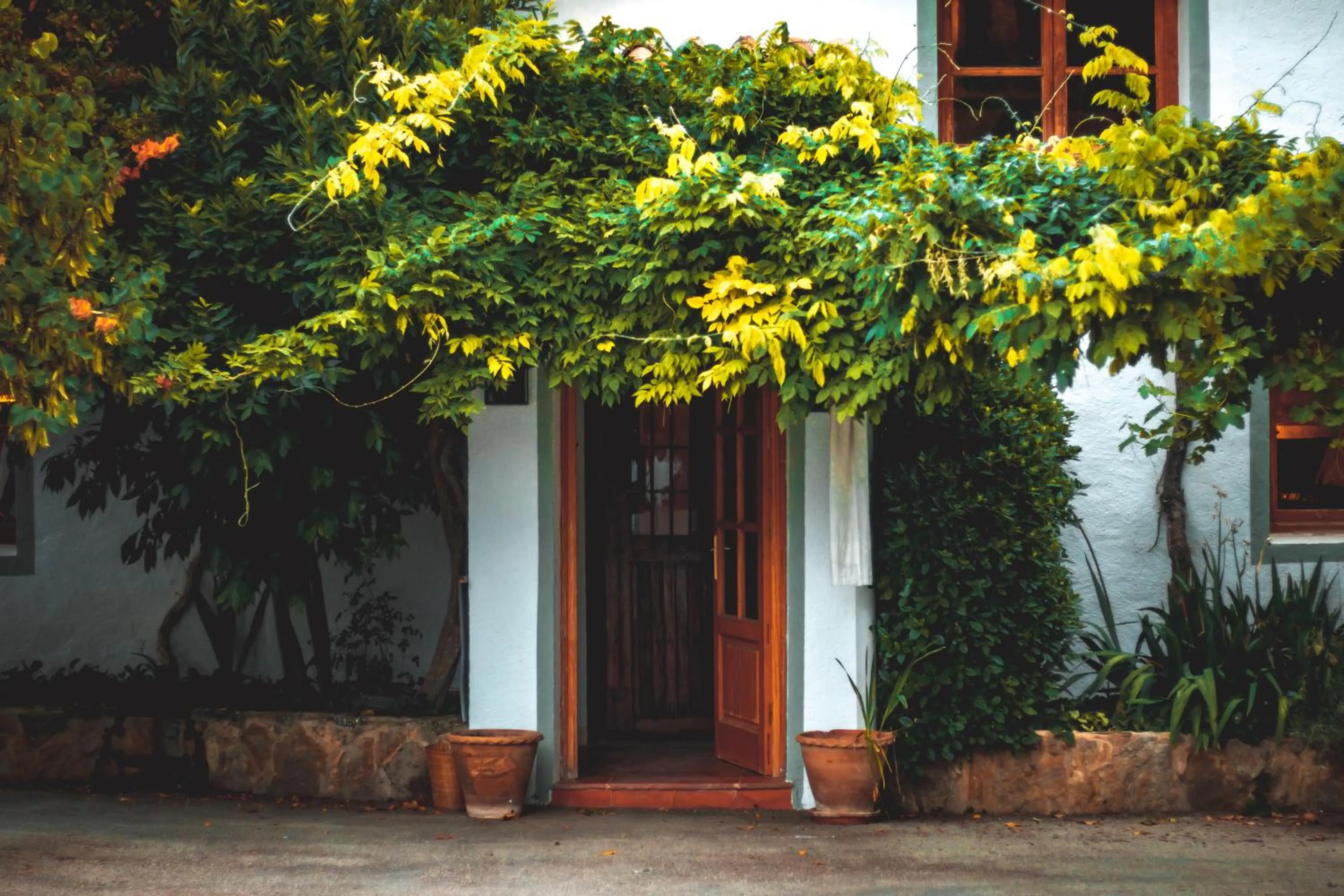 Property building in VILASIRA ( Rooms & Wines )