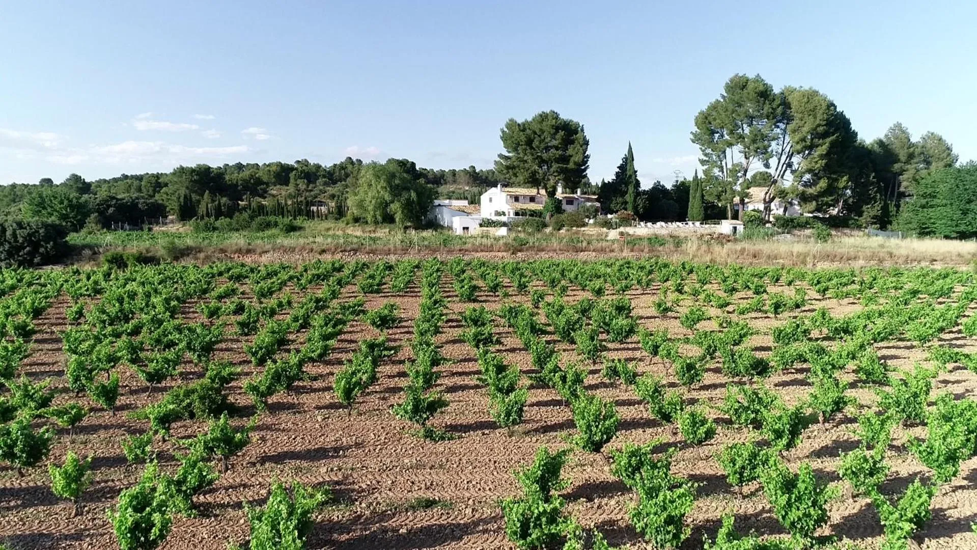 Property building in VILASIRA ( Rooms & Wines )