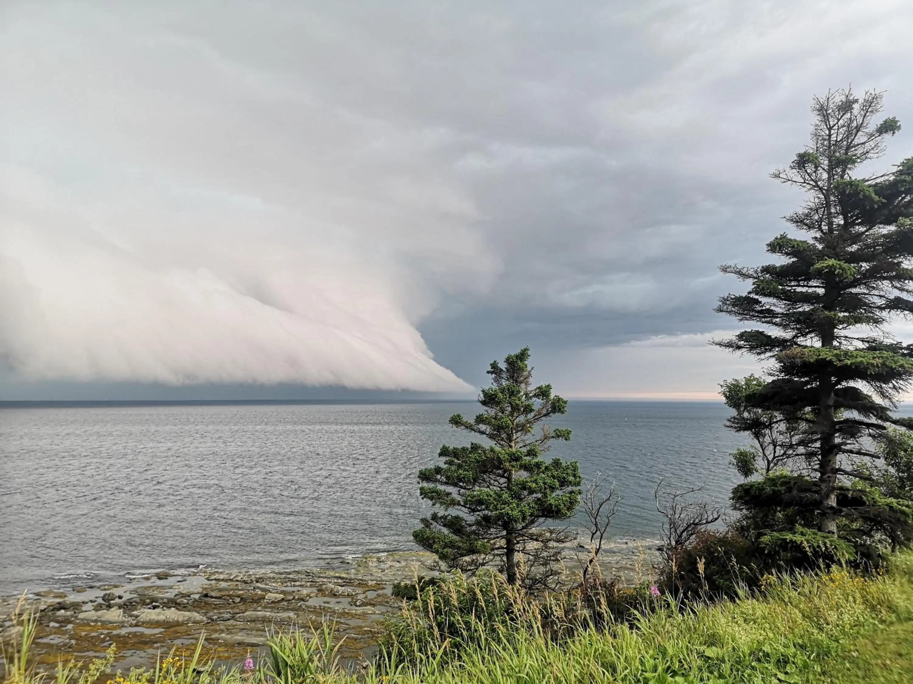 Natural landscape in Lofts Hôtel Gaspésie