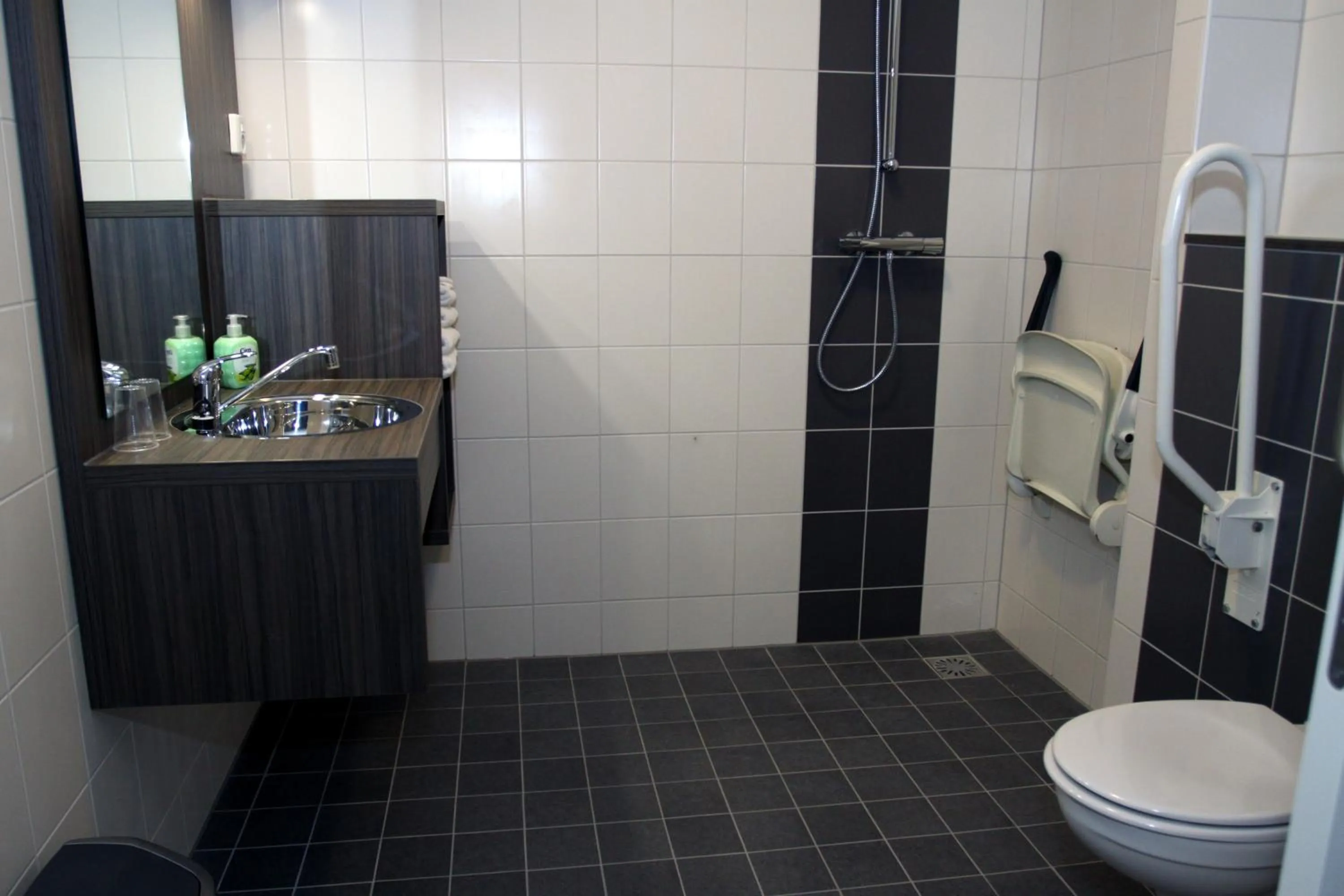 Toilet in B&B Hotel De Vrije Vogel