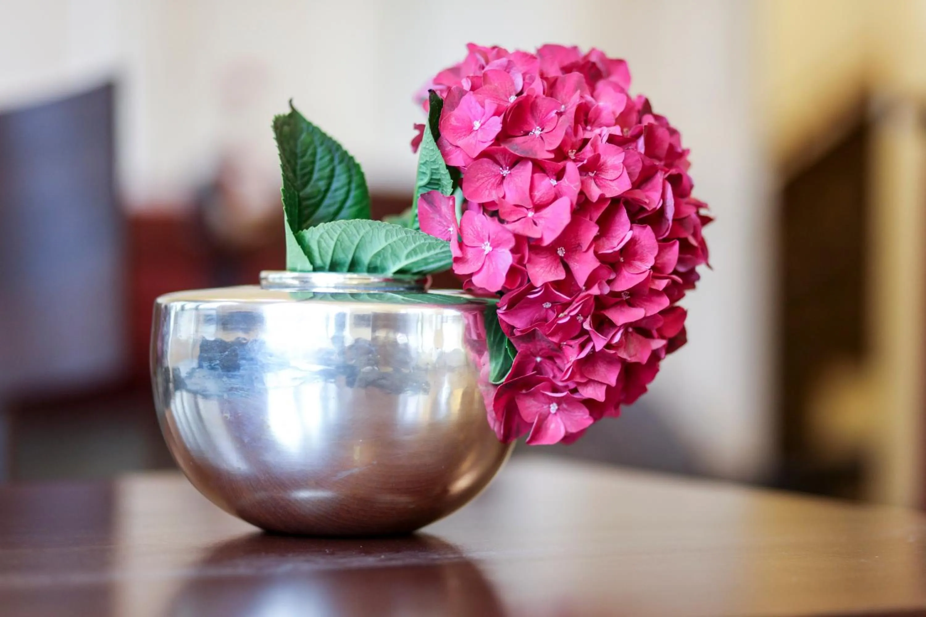 Lobby or reception in Hotel Markgräfler Hof