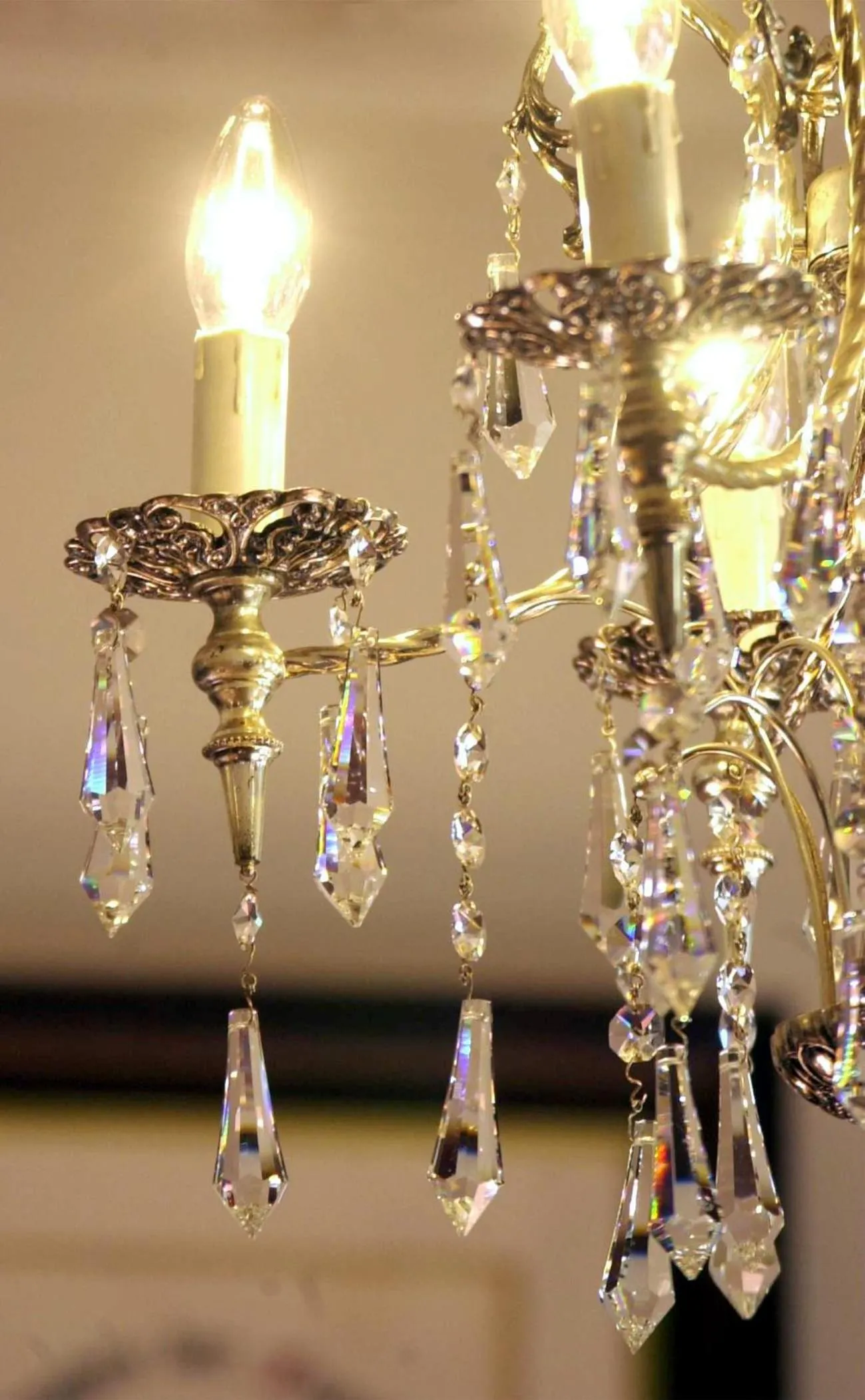 Restaurant/places to eat in Hotel Markgräfler Hof