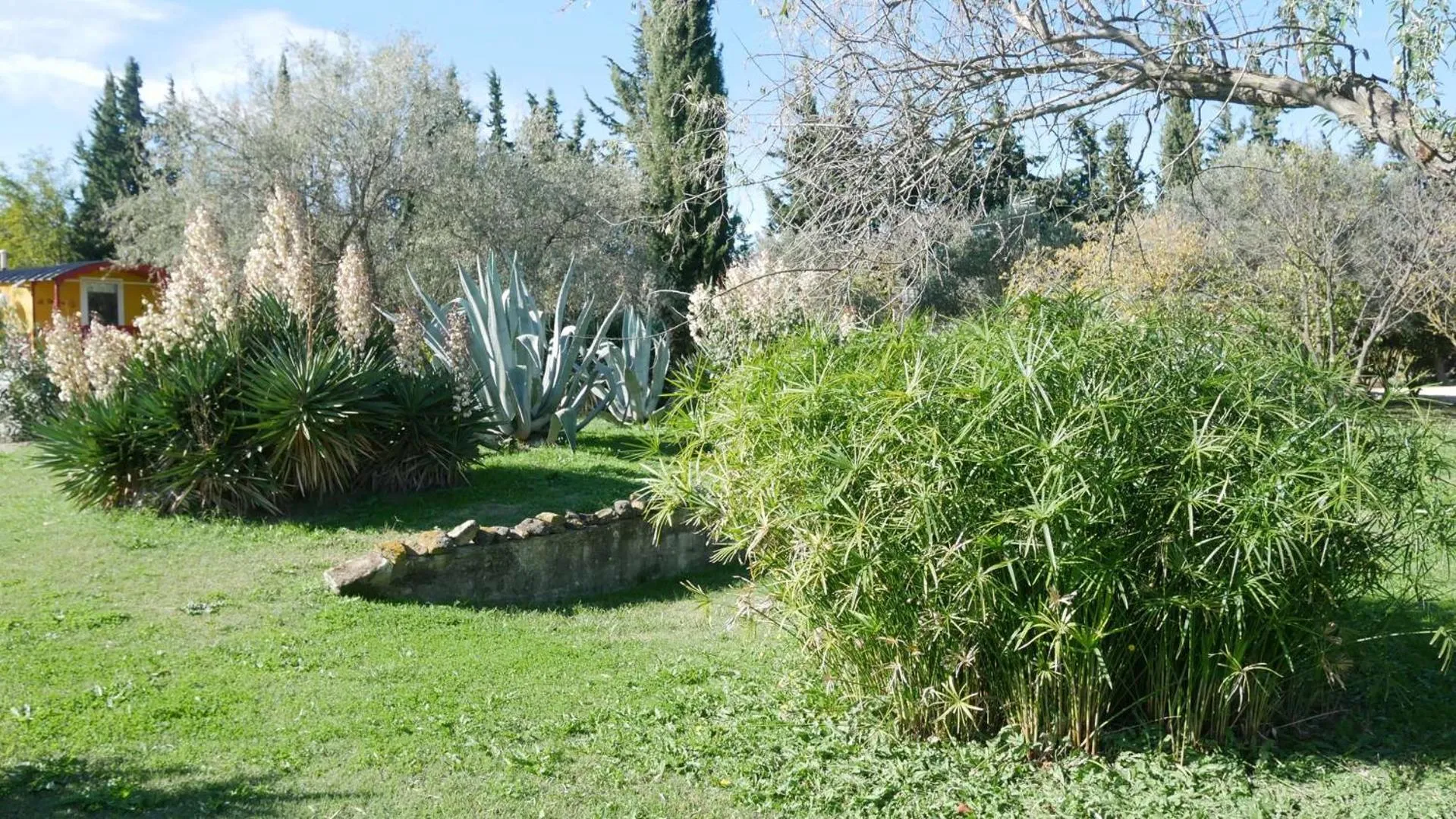 Garden view in MAS MAURANE-Le Platane avec SPA privé aux portes d'ARLES
