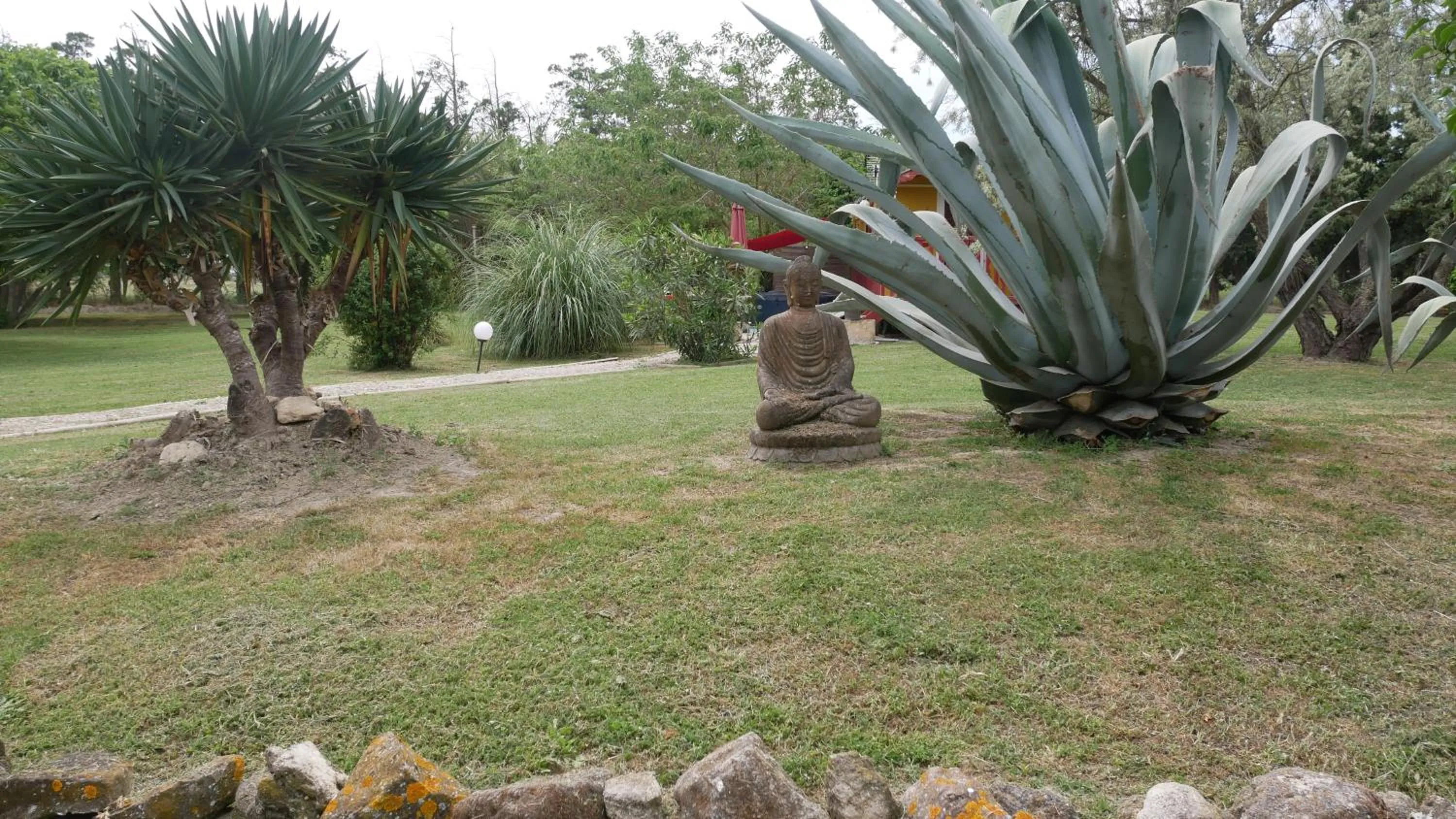 Garden view in MAS MAURANE-Le Platane avec SPA privé aux portes d'ARLES