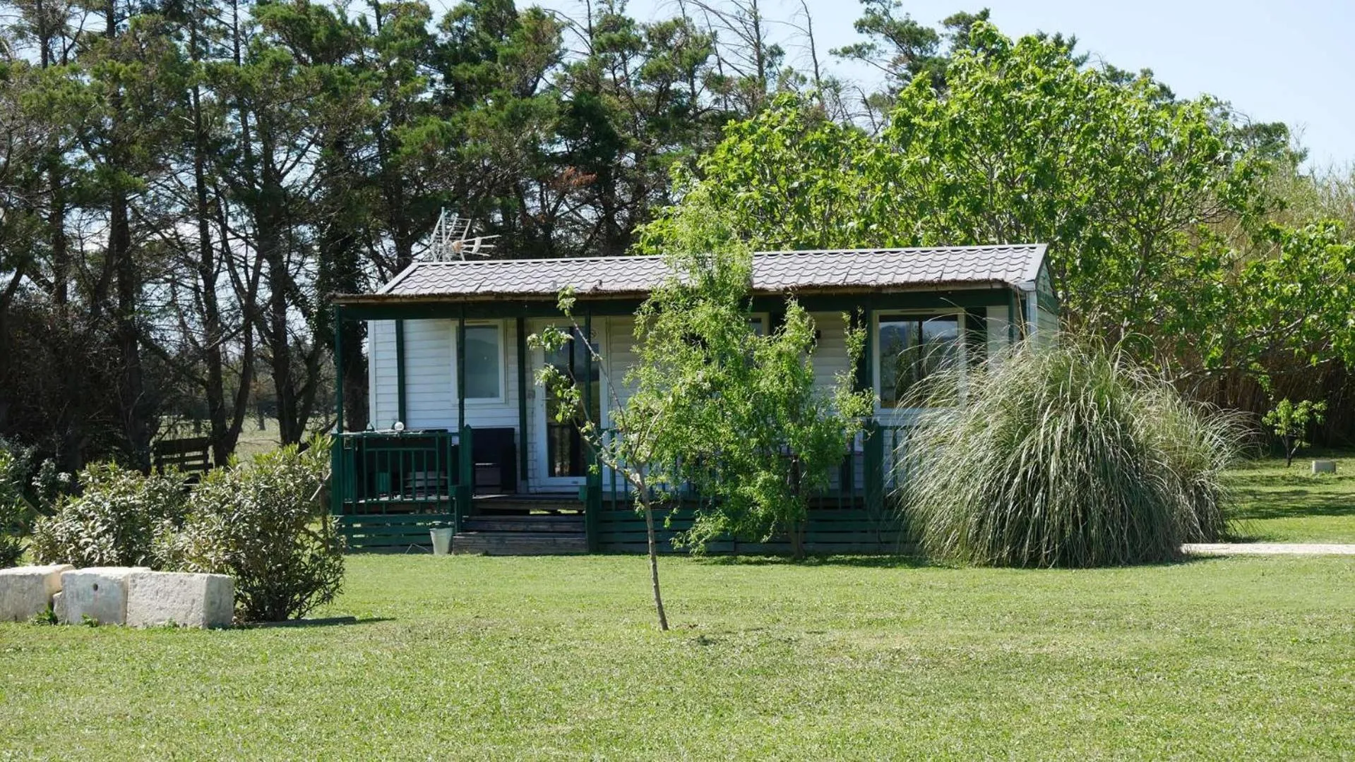 Property building in MAS MAURANE-Le Platane avec SPA privé aux portes d'ARLES