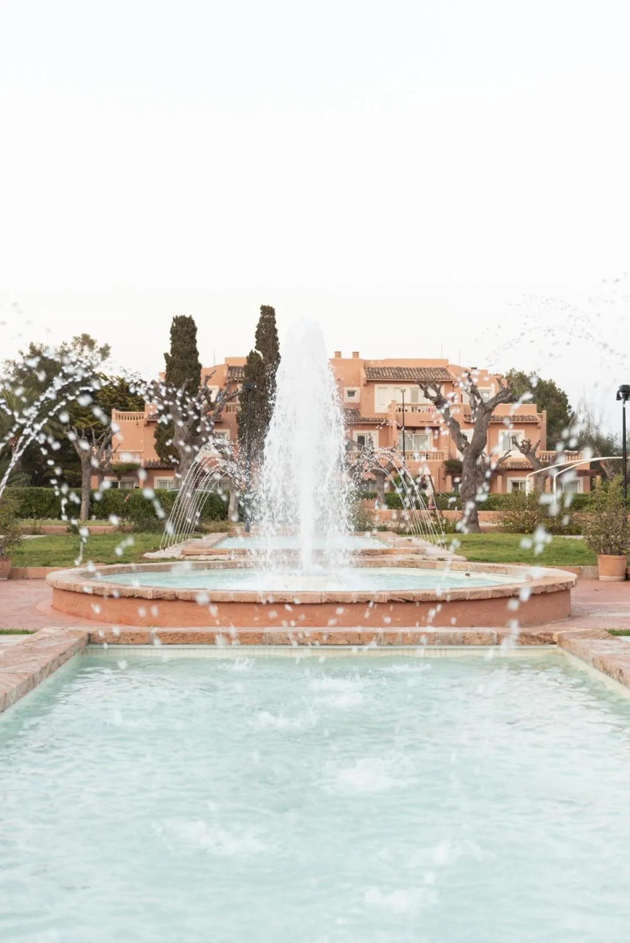 Garden in Aparthotel Ciudad Laurel