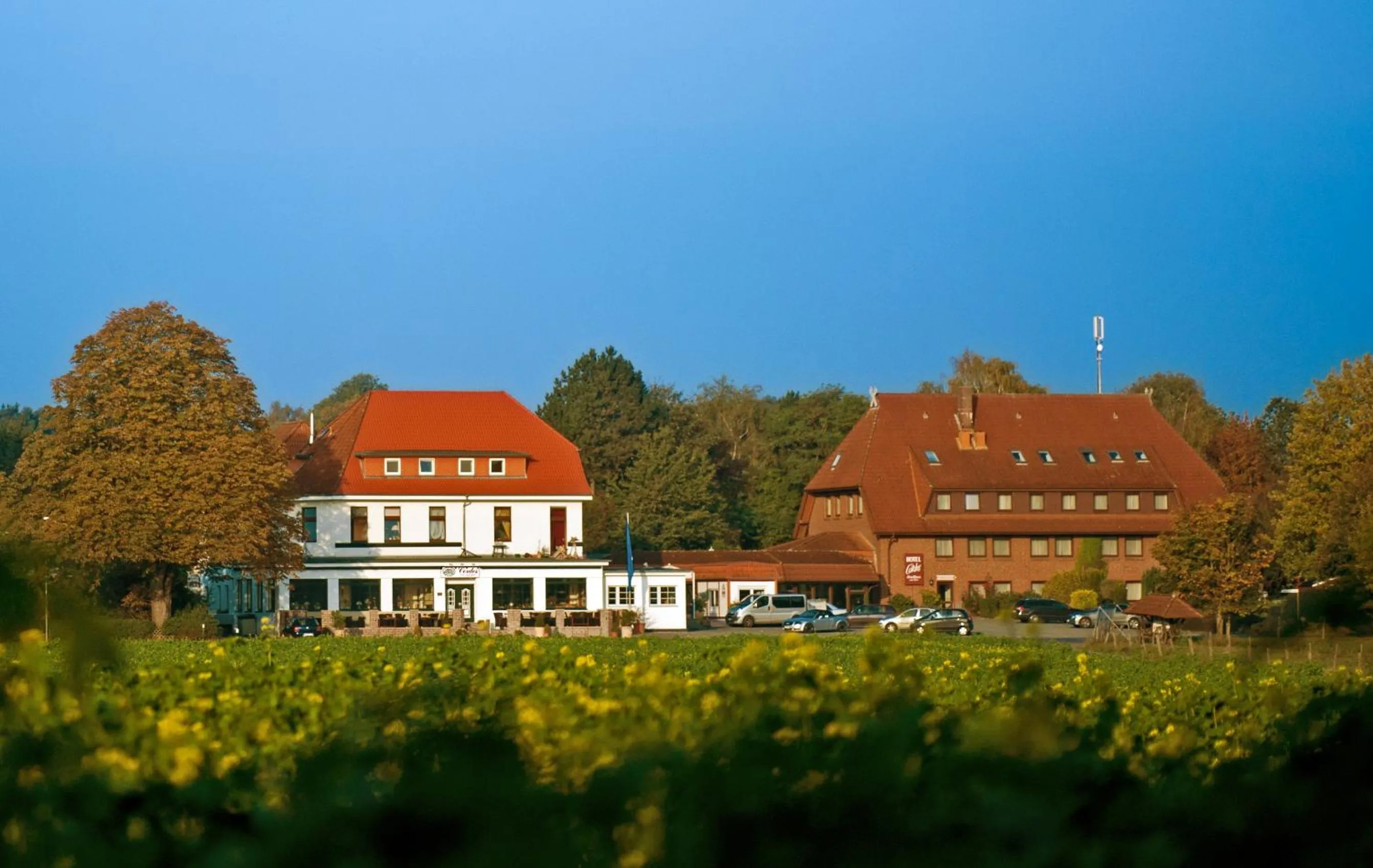 Facade/entrance in Akzent Hotel Cordes & Restaurant am Rosengarten