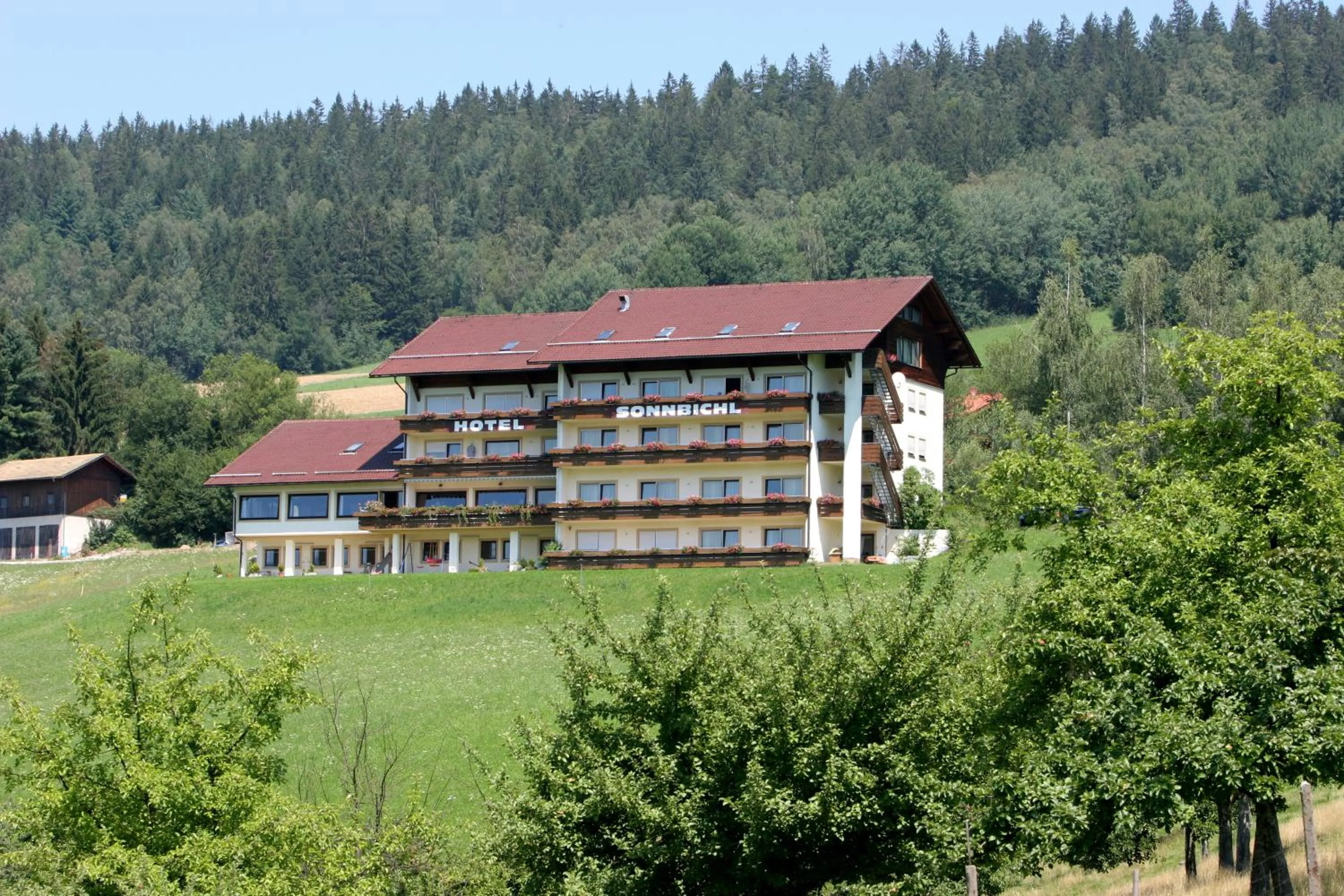 Single Room - single occupancy in Hotel Sonnbichl