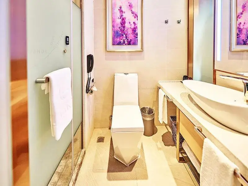 Lavande Hotel Changchun Peoples Square Lavande Hotel Changchun Peoples Square