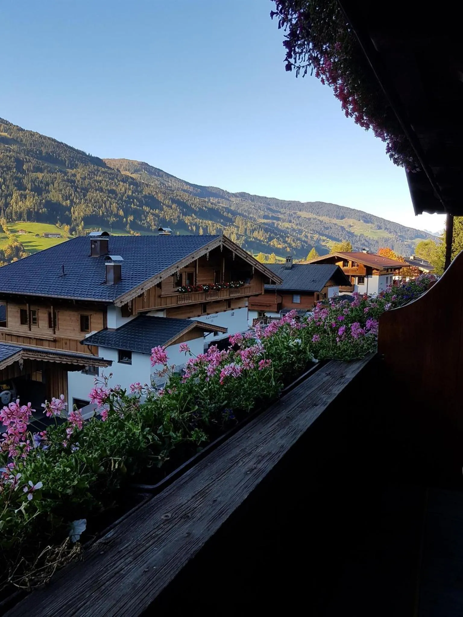 Natural landscape in Haus Theresia