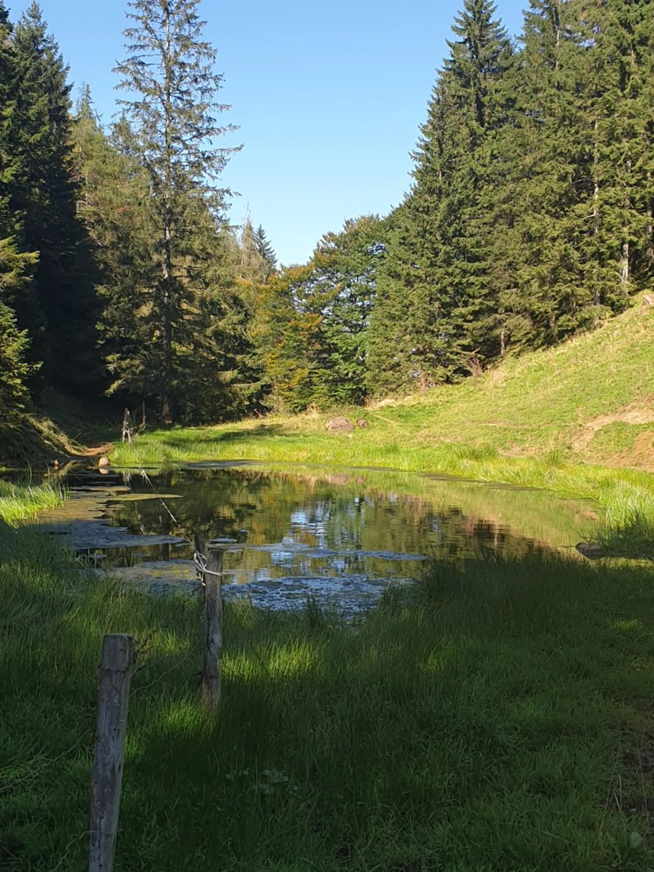 Natural landscape in Haus Theresia