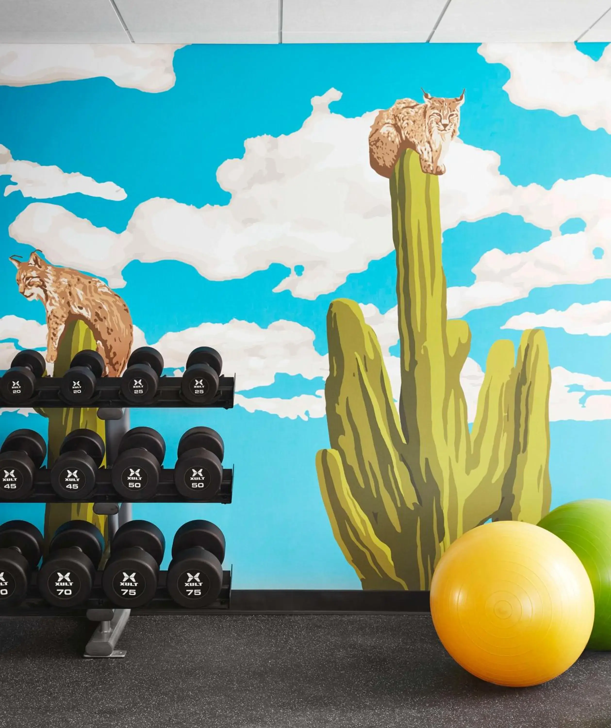 Fitness centre/facilities in Graduate by Hilton Tucson Fitness centre/facilities in Graduate by Hilton Tucson