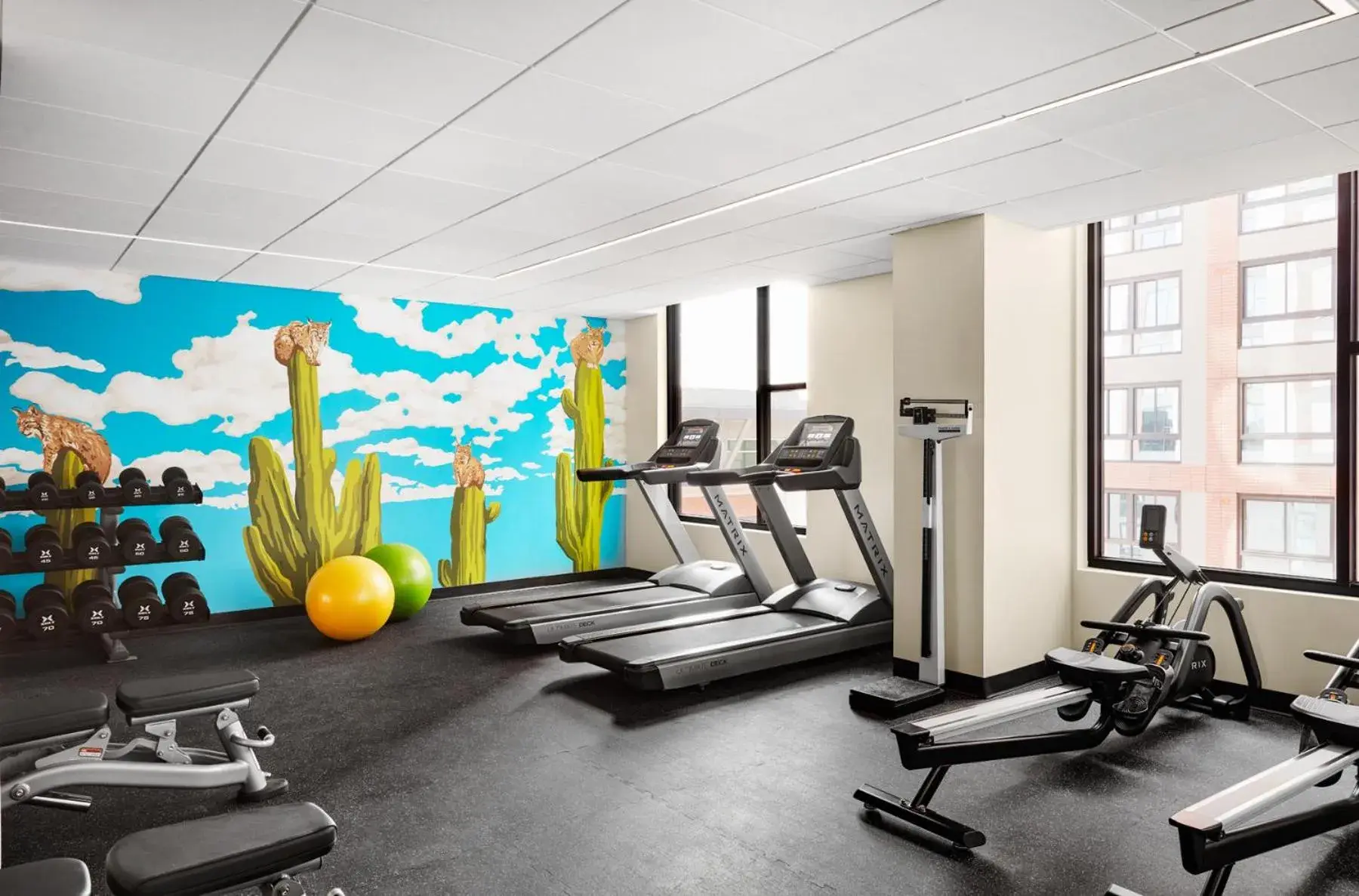 Fitness centre/facilities in Graduate by Hilton Tucson Fitness centre/facilities in Graduate by Hilton Tucson