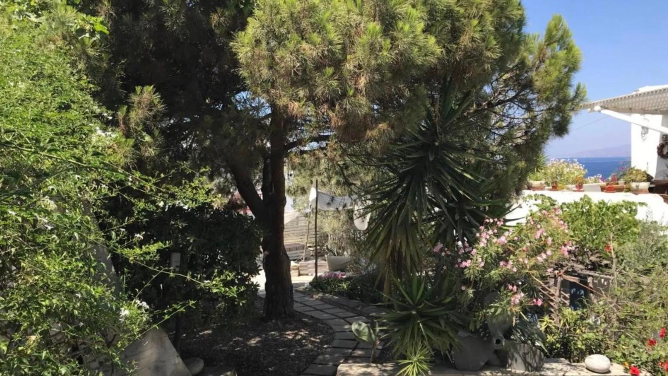 Garden in Rania Apartments Sea View