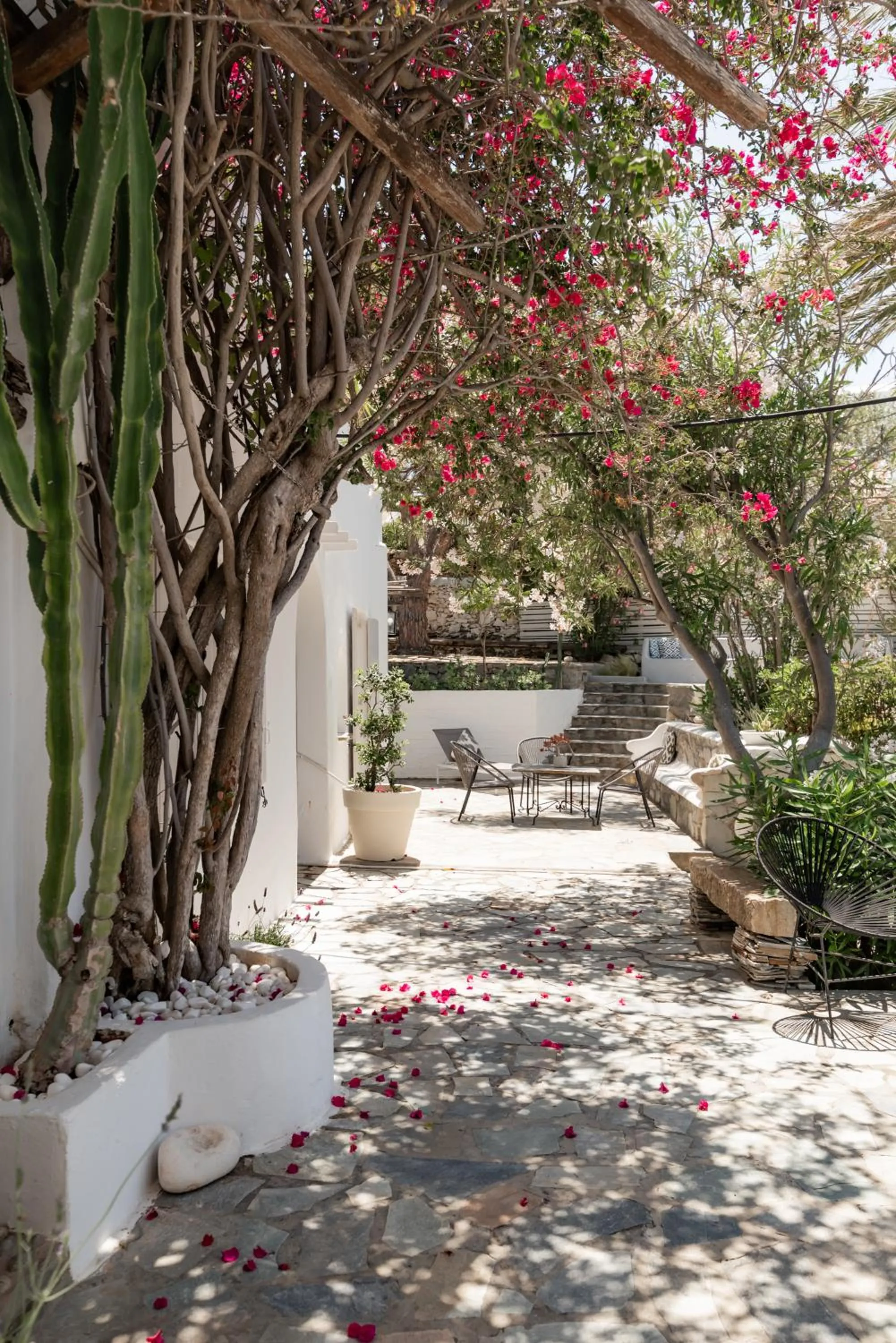 Rania Apartments Sea View