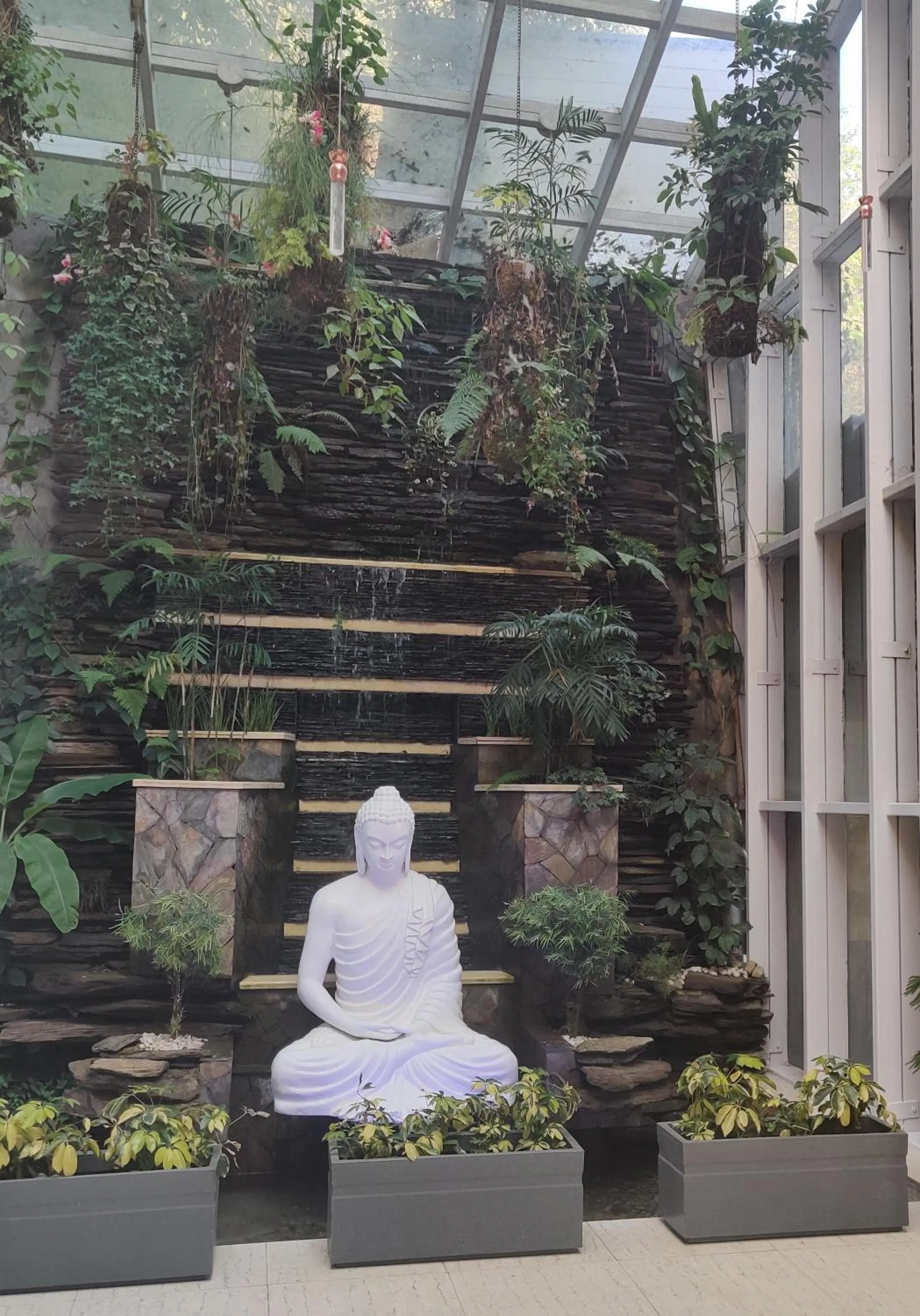 Area and facilities in Yog Wellness Resort & Spa By Amritara