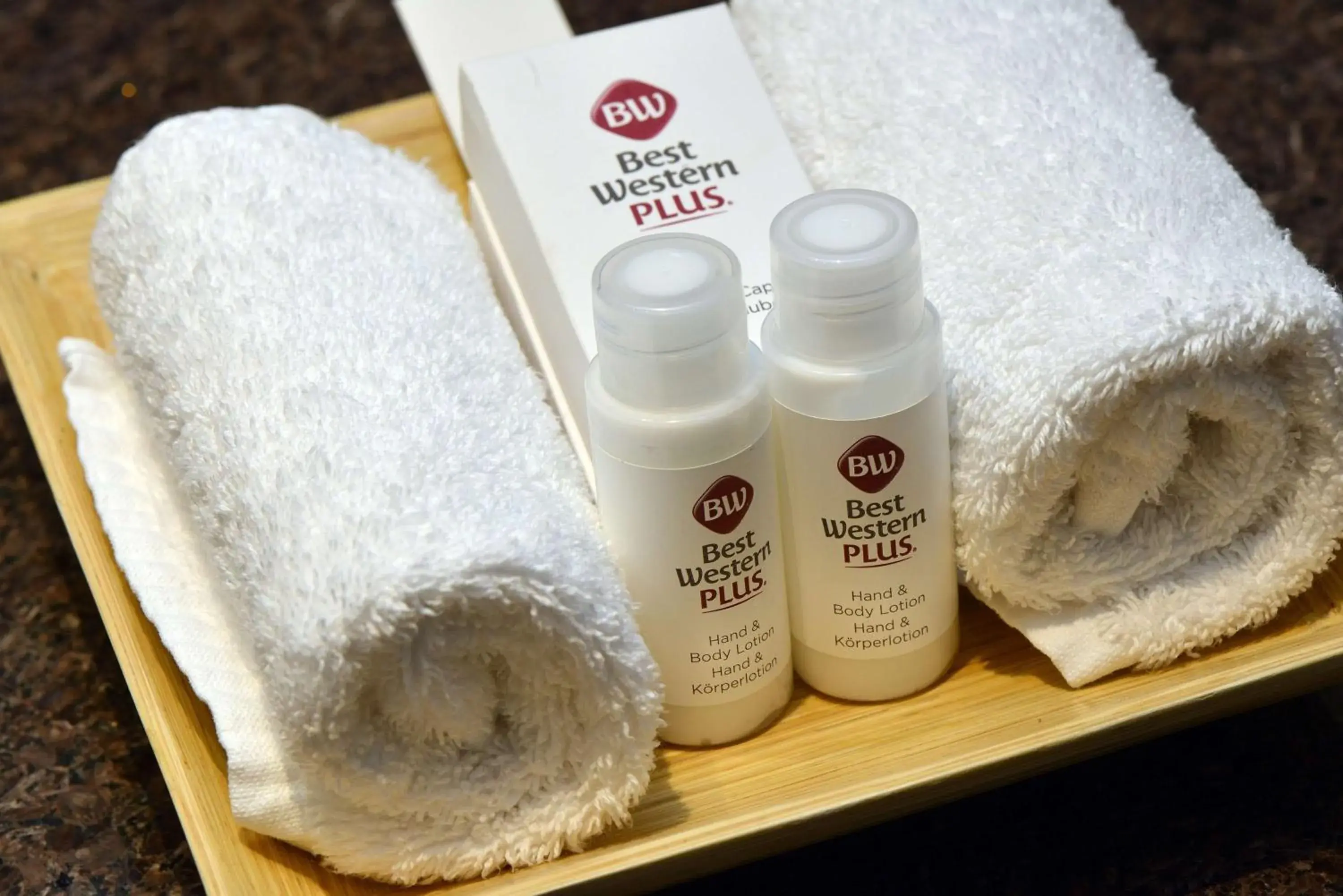 Bathroom in Best Western Plus Delta Park Hotel Bathroom in Best Western Plus Delta Park Hotel