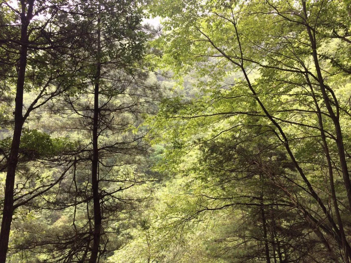 7Days Inn Hanzhong Tianhan Avenue South Station