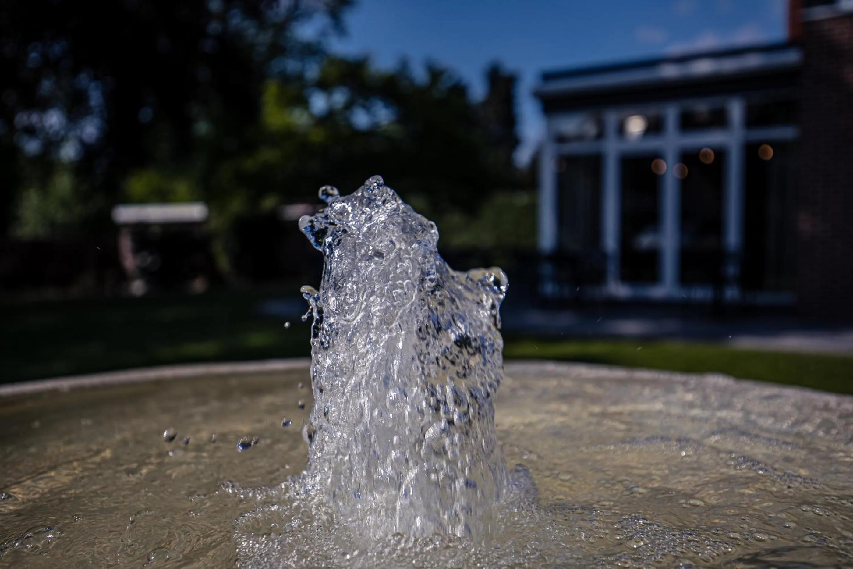 Decorative detail in Burgemeesterhuys
