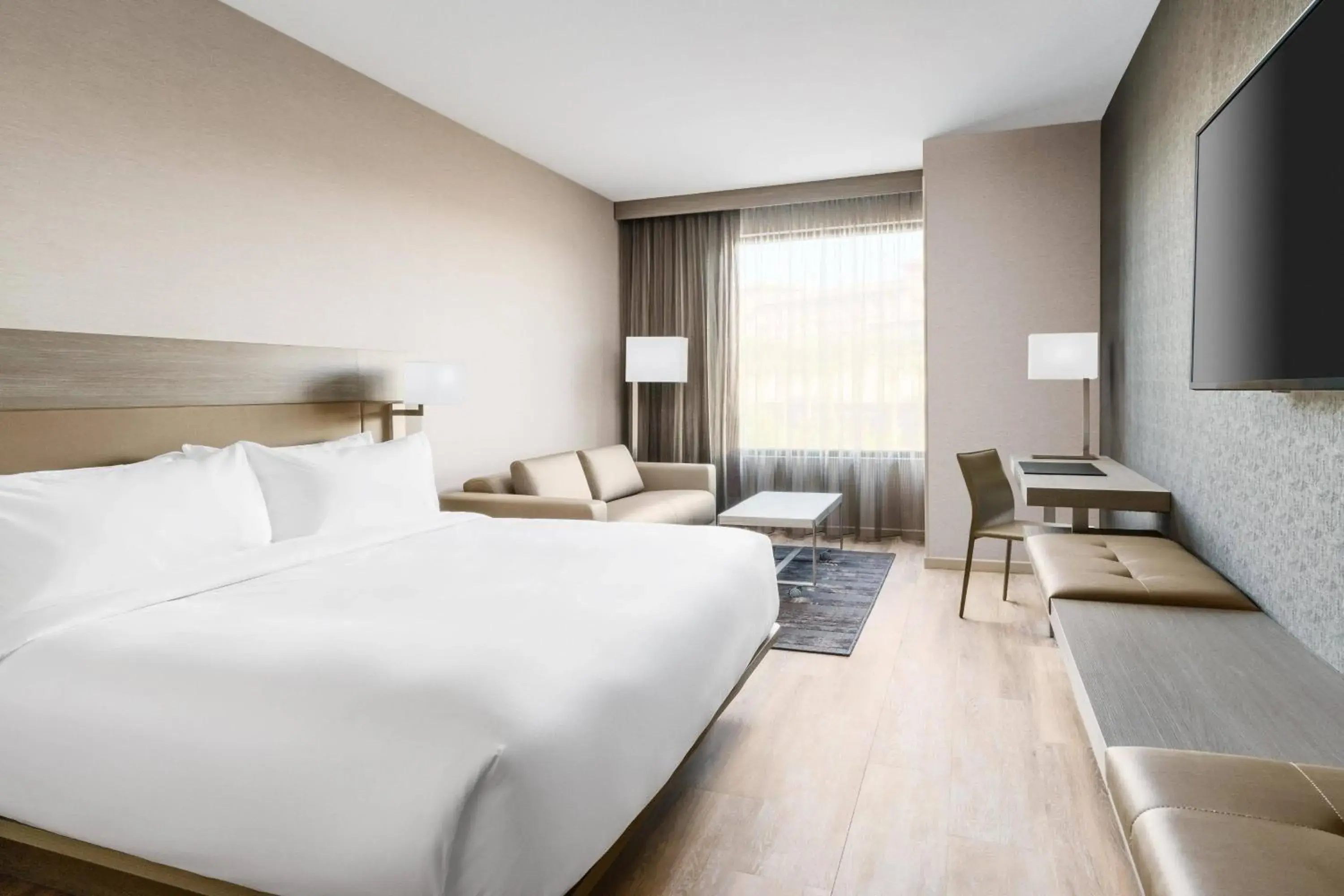 Guest room, 1 King, Sofa bed in AC Hotel by Marriott Scottsdale North Guest room, 1 King, Sofa bed in AC Hotel by Marriott Scottsdale North