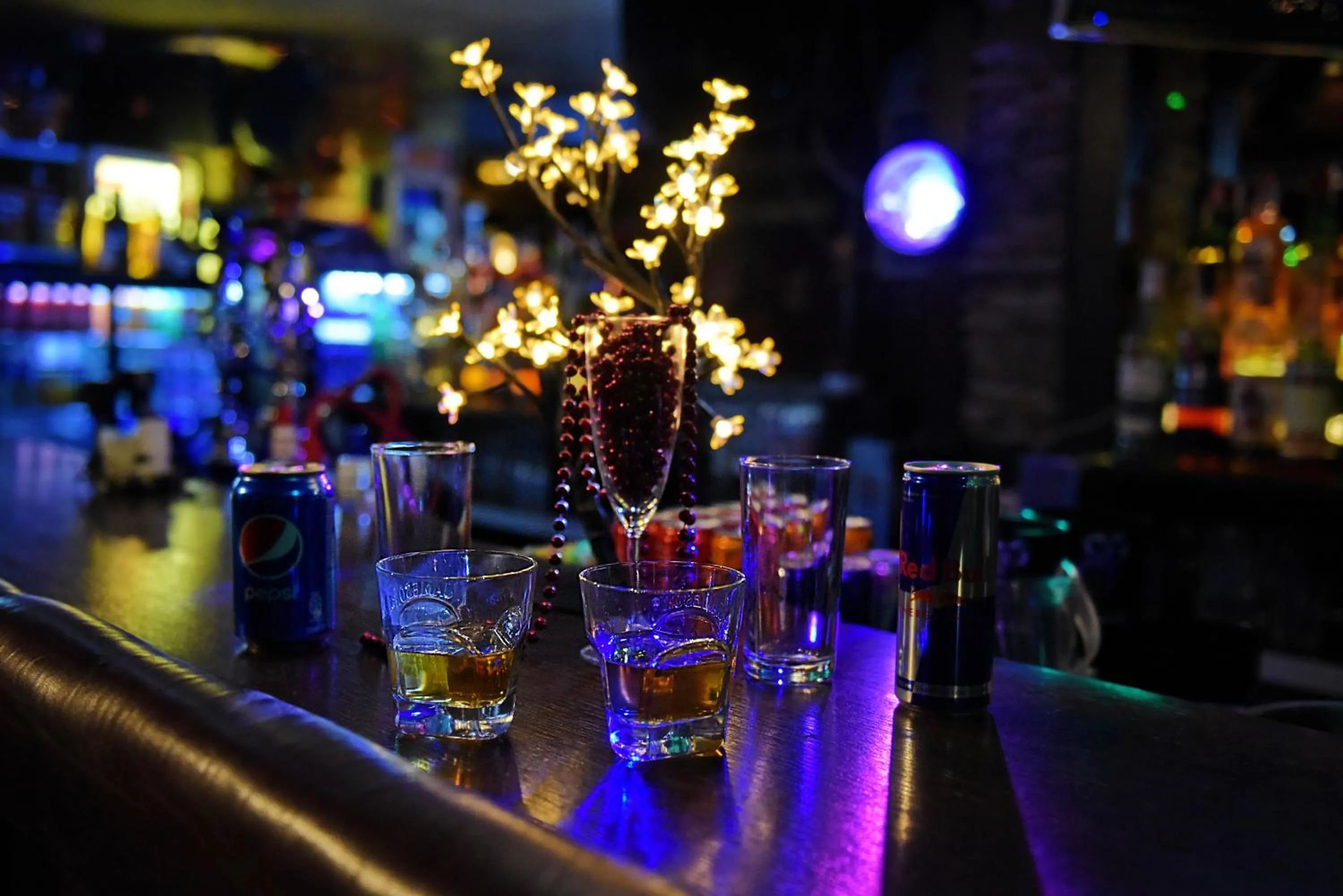 Nightclub / DJ in Aparthotel Forest Nook