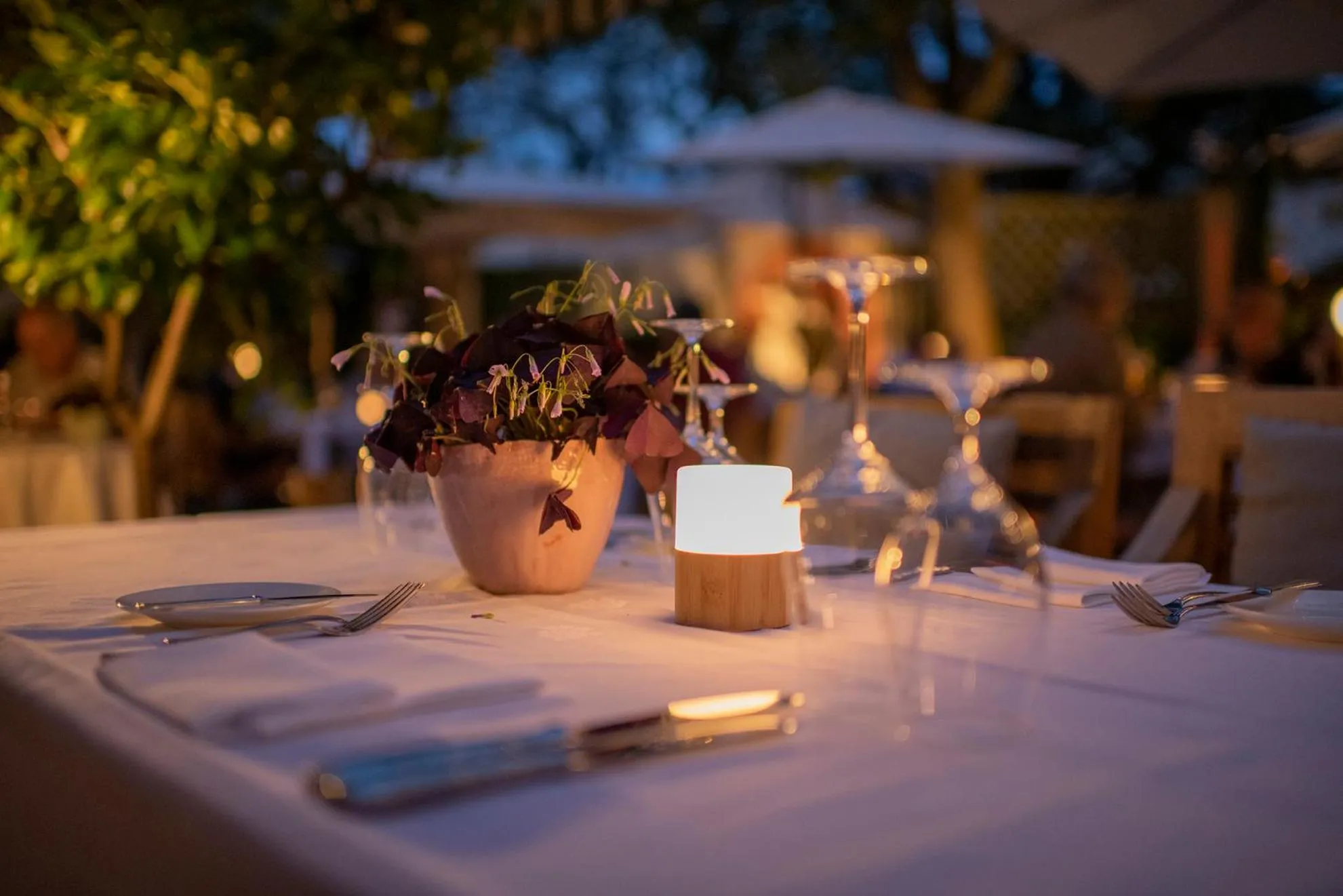 Garden in Hotel Erbprinz - Gourmet & Spa