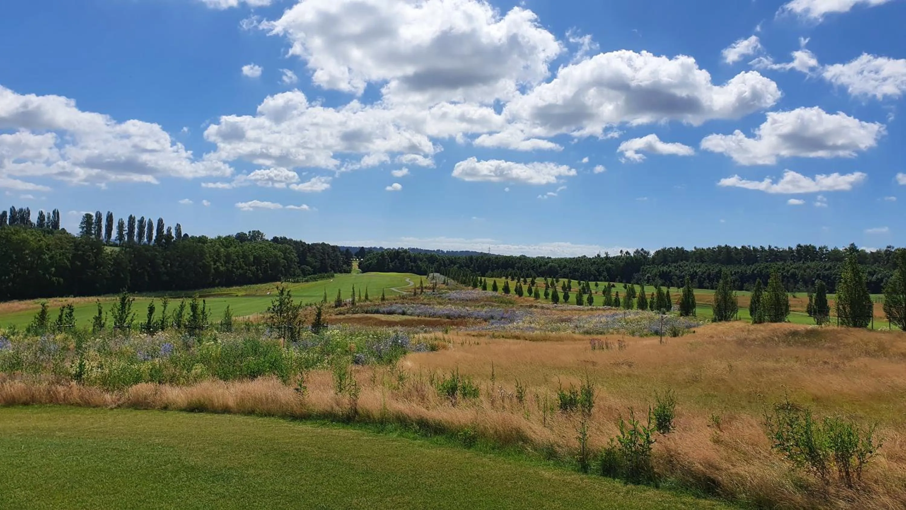 Golfcourse in Hotel Erbprinz - Gourmet & Spa