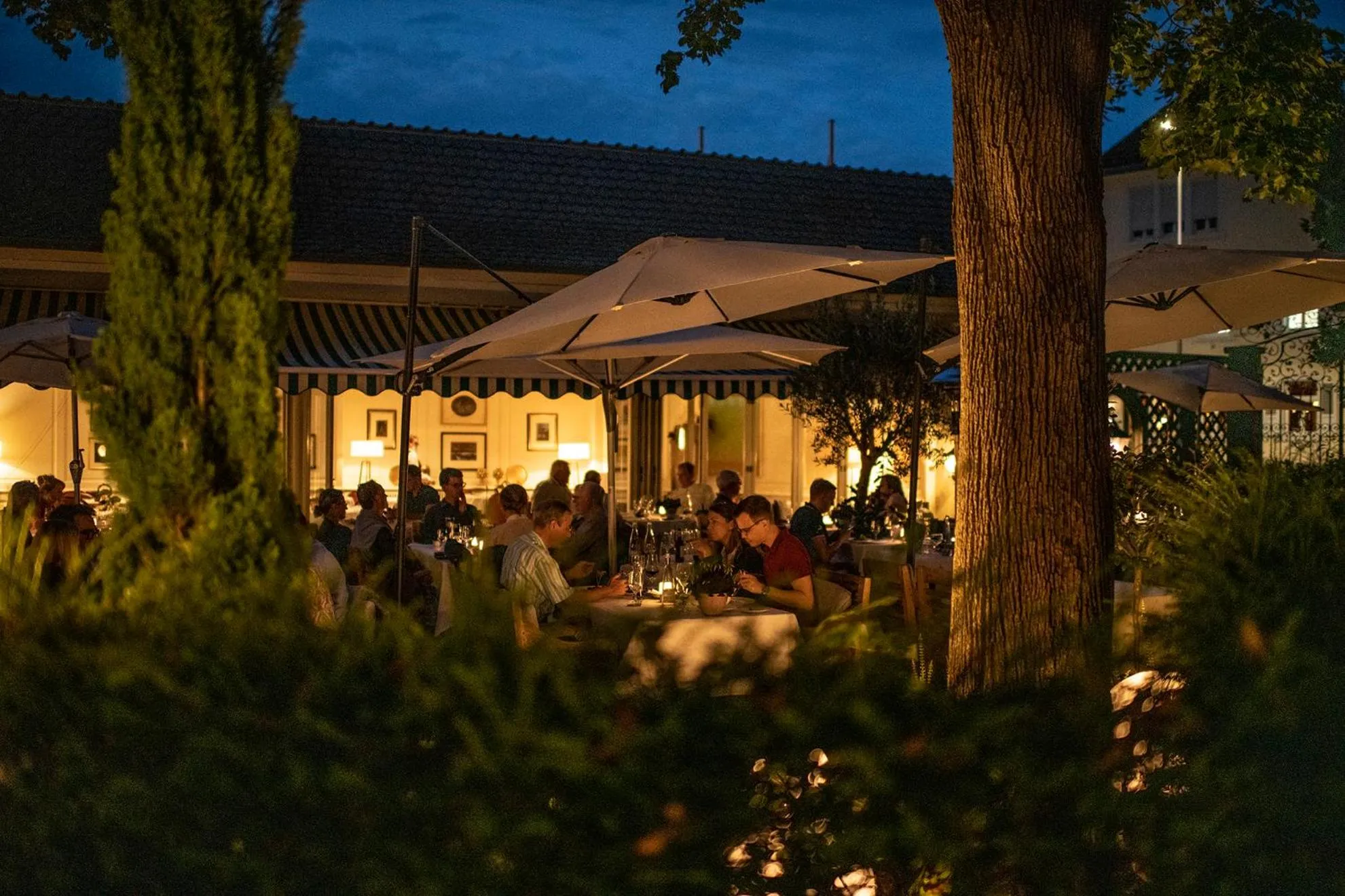 Garden in Hotel Erbprinz - Gourmet & Spa