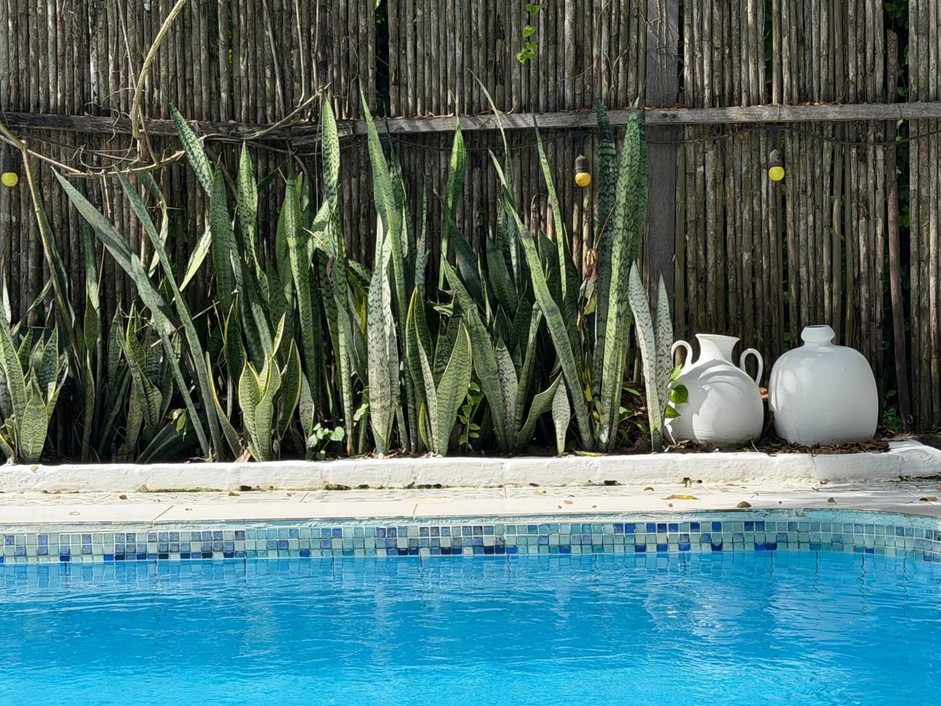 Swimming pool in Kawabonga