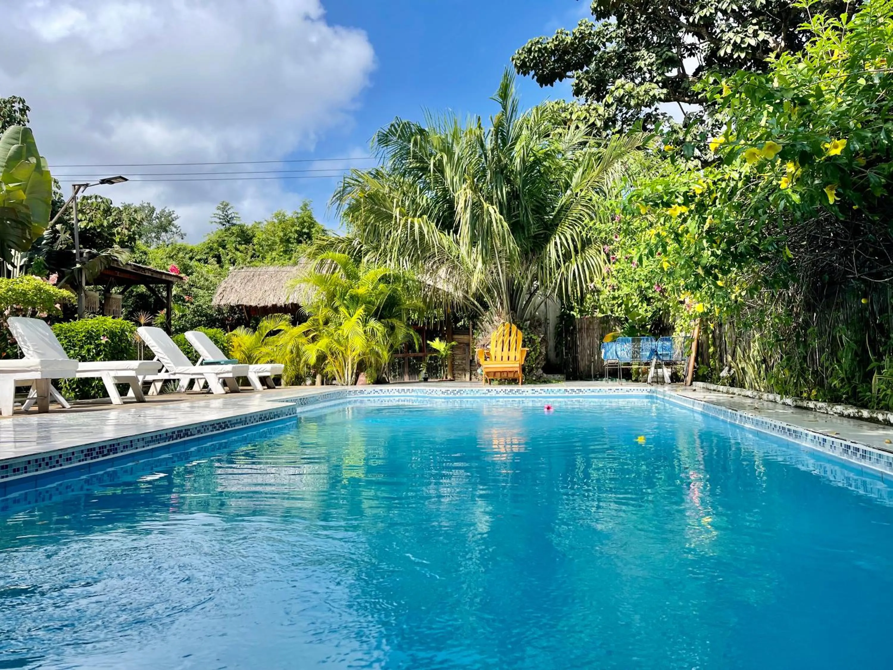 Swimming pool in Kawabonga