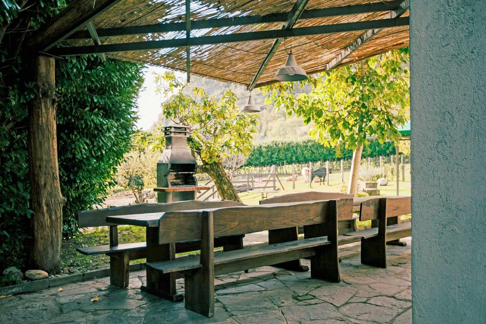 Patio in Podere Brughee
