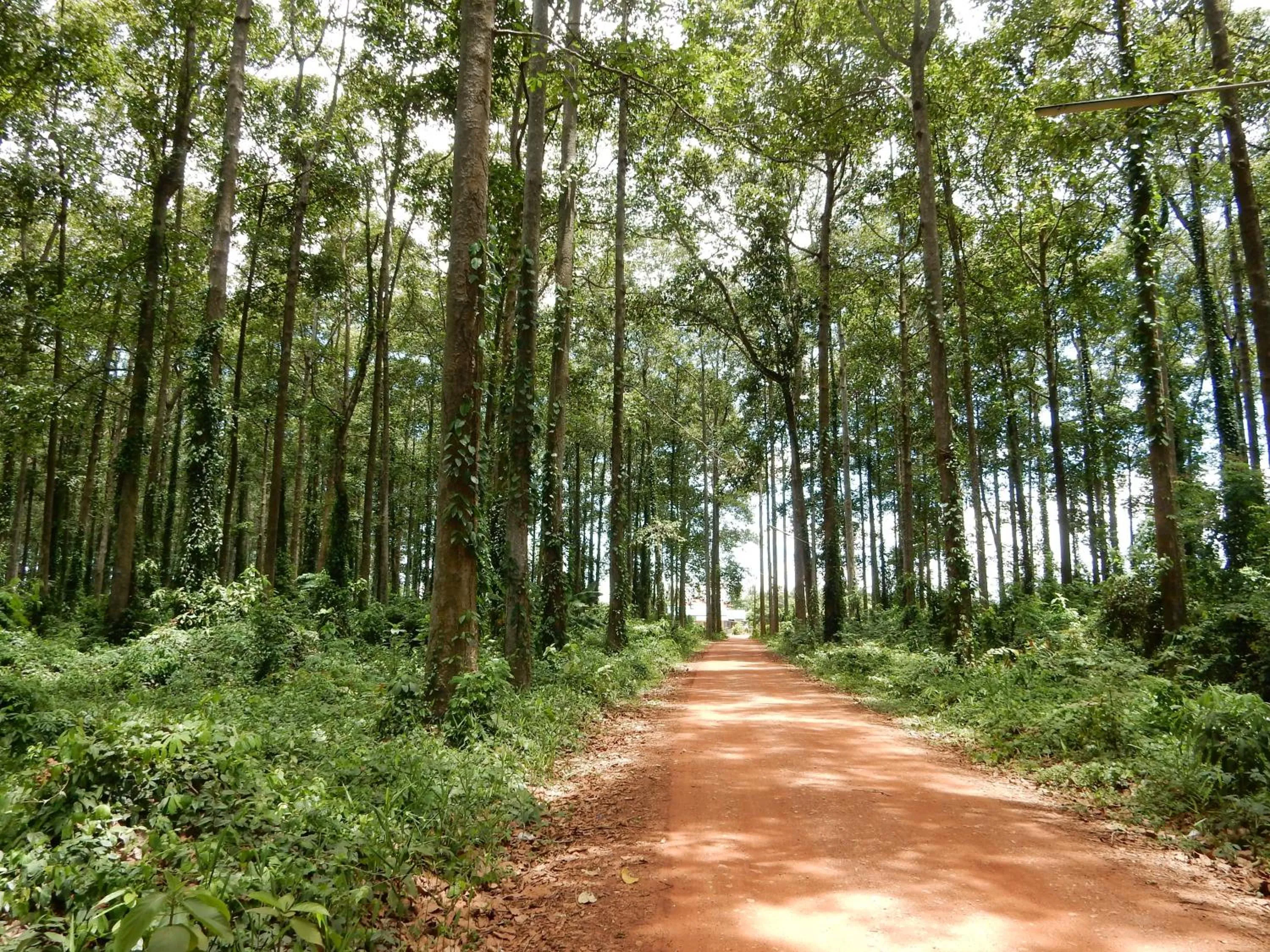 Hiking in Malee Resort